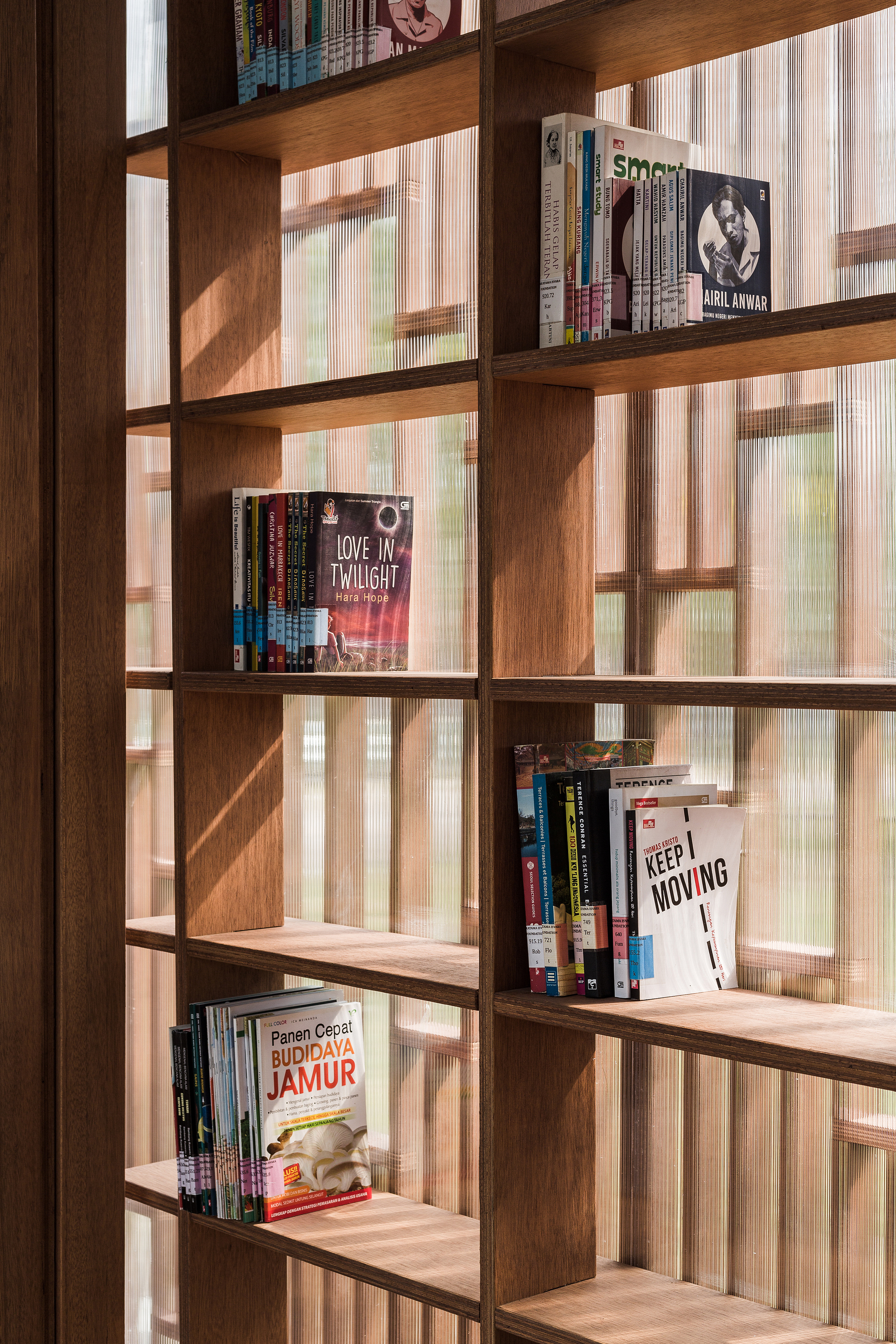 Wooden shelving units displaying books against a backdrop of translucent corrugated wall panels