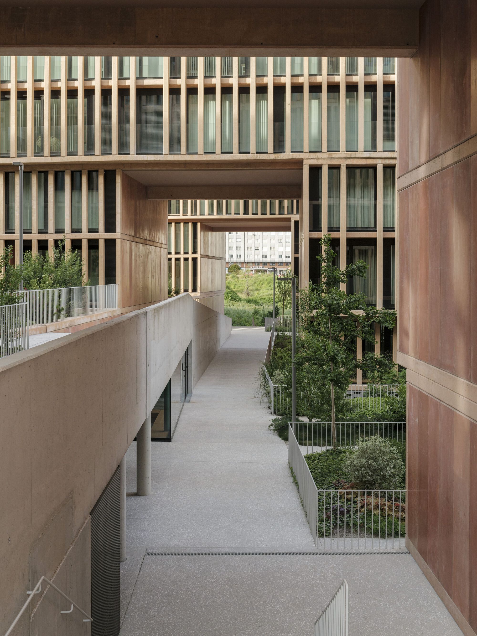 Courtyard walkway lined with planted beds and timber-screened facades bridging overhead