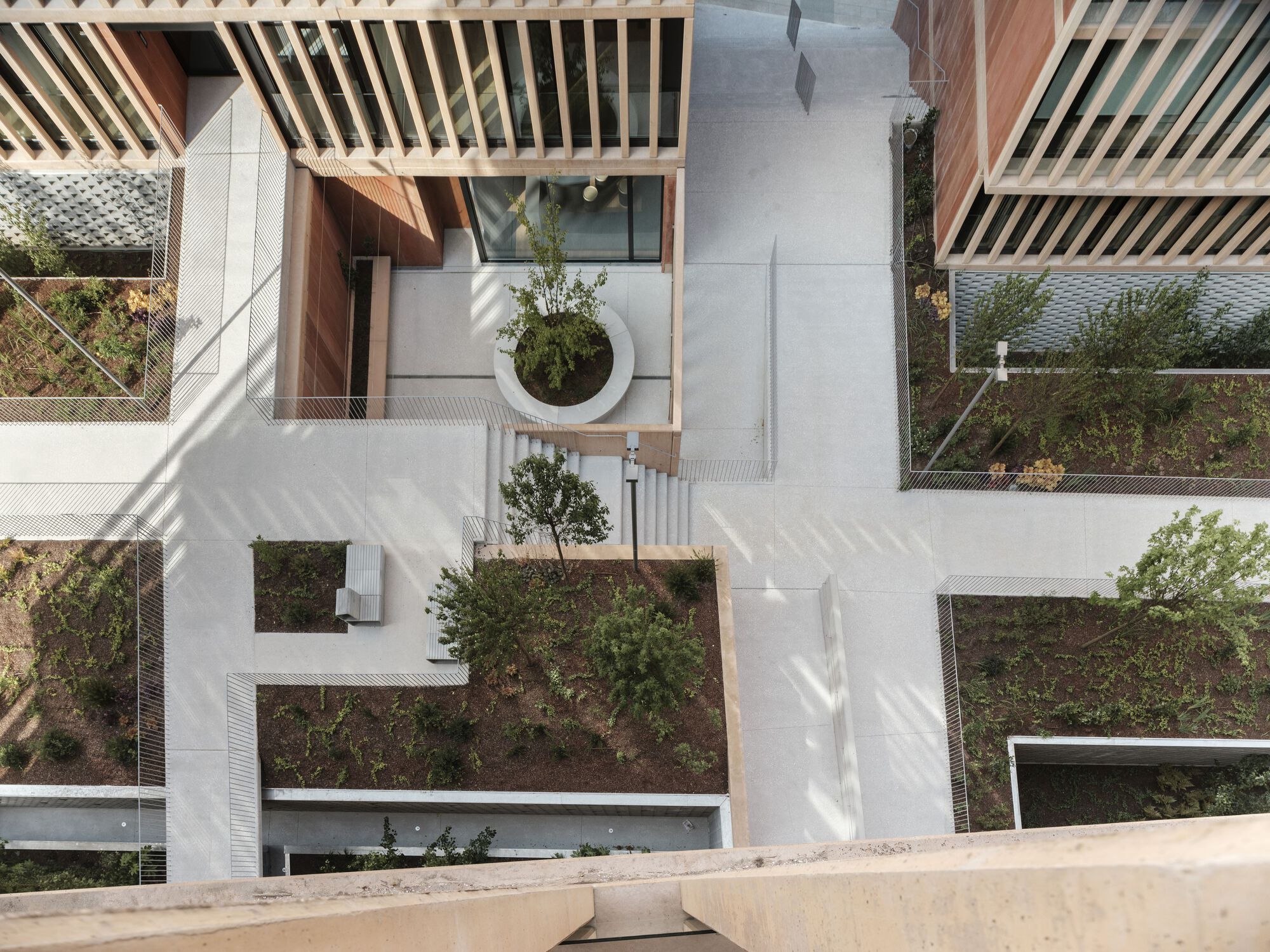 Aerial view of terraced rooftop gardens with timber screens and circular planters in morning sunlight