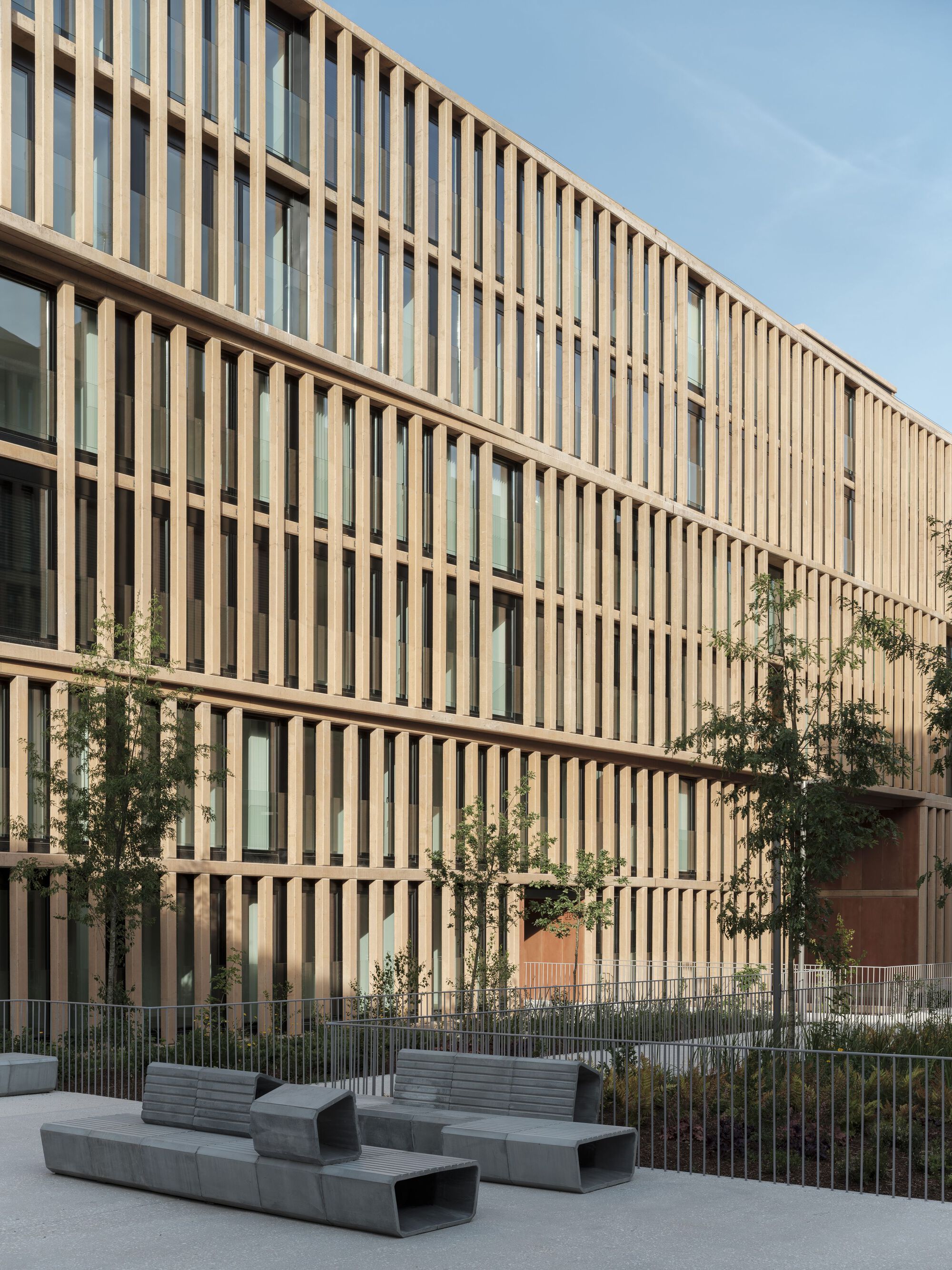 Vertical timber brise-soleil facade with concrete benches and young trees in the courtyard below