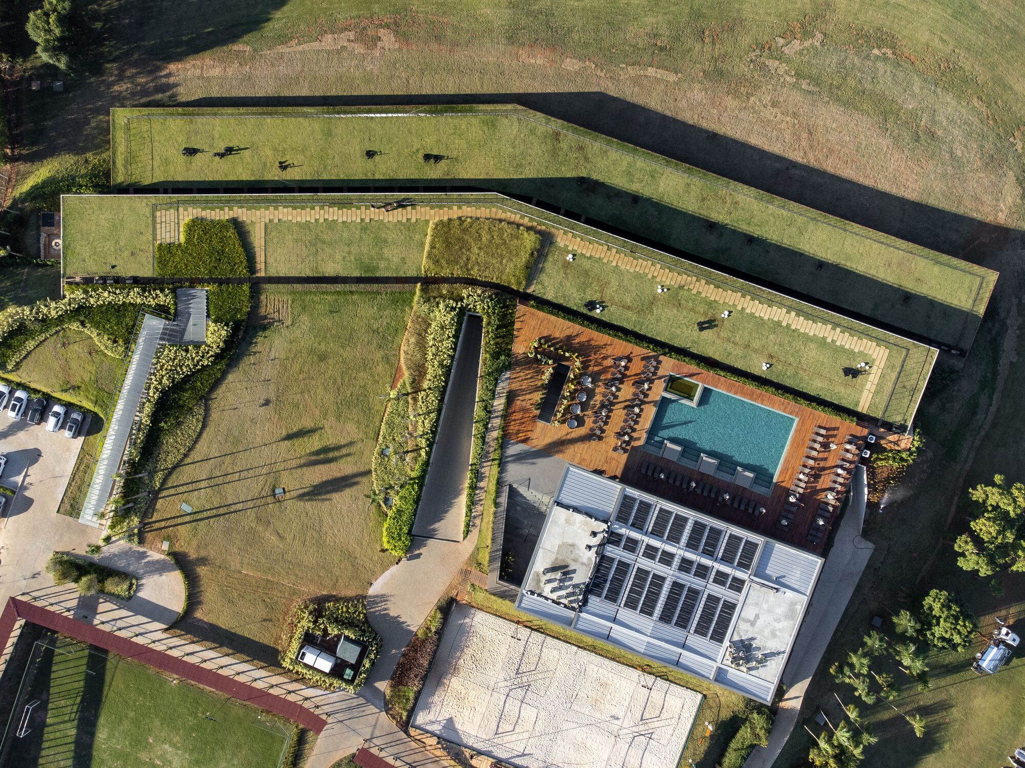 Top-down view of the central pool deck and timber terrace surrounded by planted green roofs