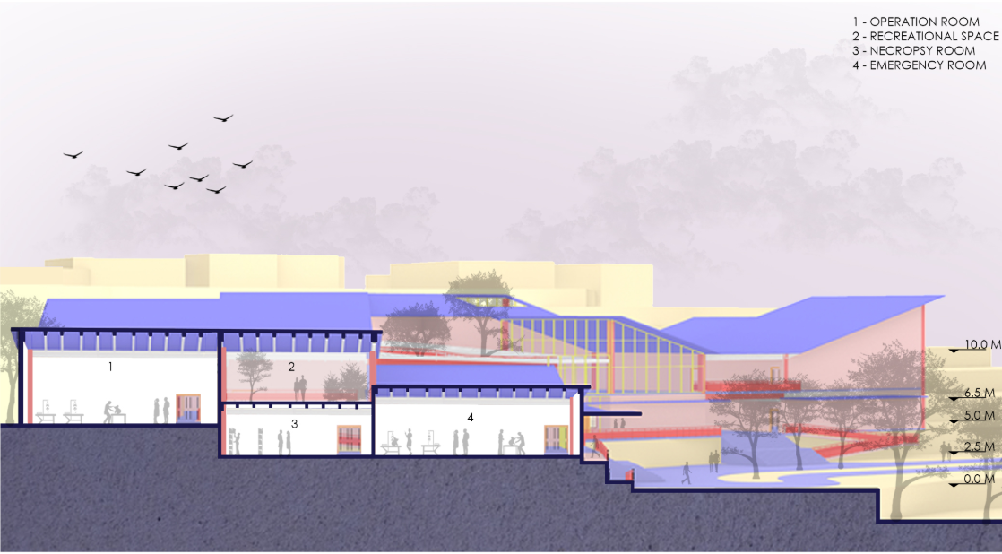 Sectional view illustrating the integration of medical facilities, rehabilitation spaces, and sustainable architectural strategies.