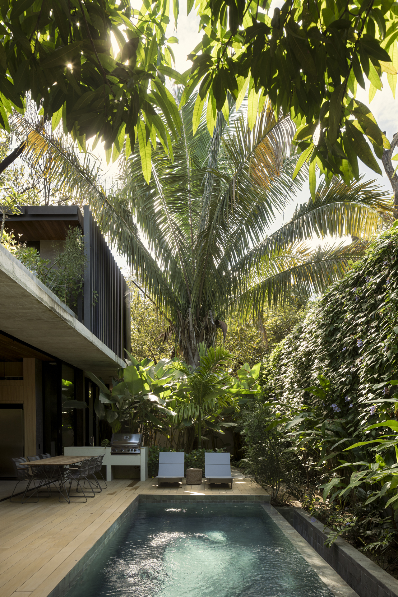 Courtyard pool surrounded by planted beds with palm trees and vine-covered walls