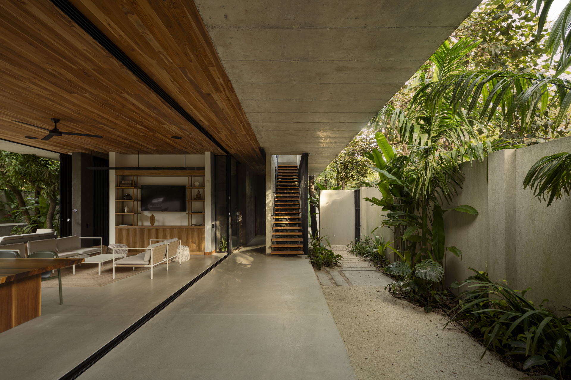 Covered terrace with timber ceiling and concrete soffit opening to planted courtyard with external staircase
