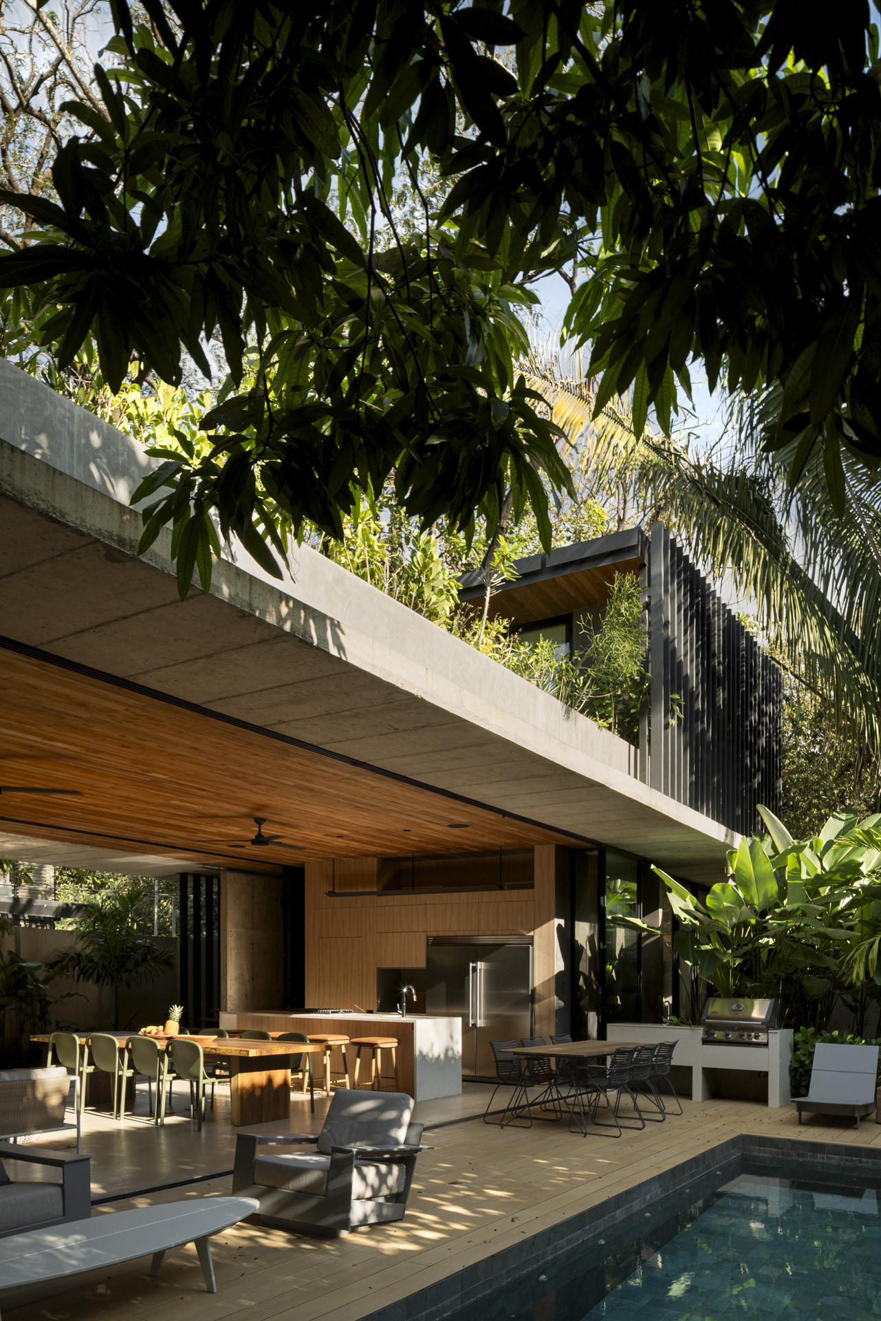 Poolside terrace with timber ceiling and concrete slab shaded by overhanging foliage