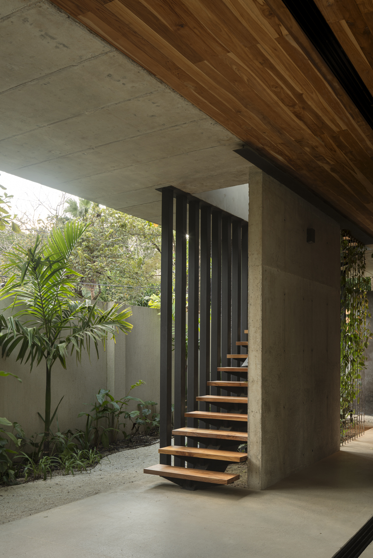 Cantilevered timber staircase with vertical metal balustrade in a planted courtyard