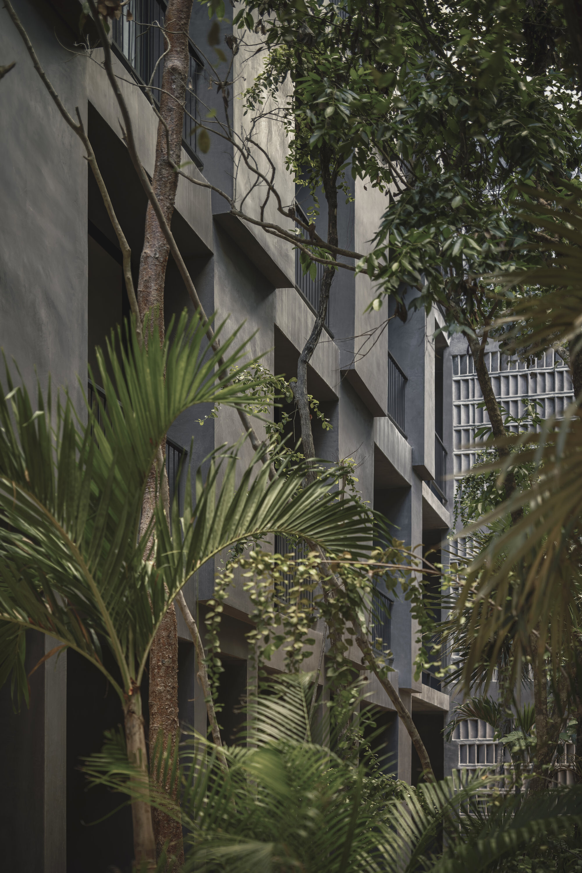 Textured concrete facade with vertical fins alongside tree trunks and fan palms in dappled light