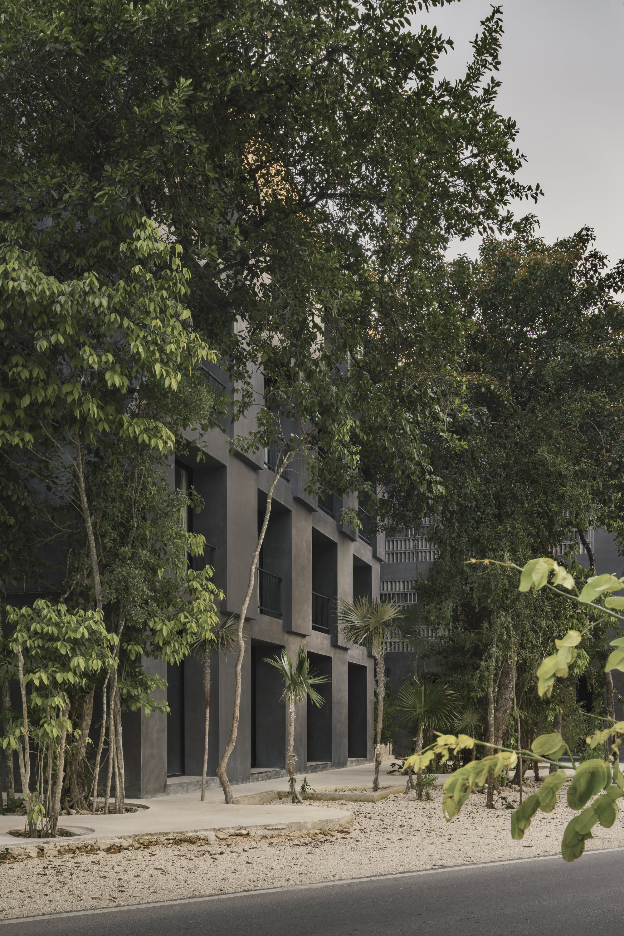 Street view of the raised concrete volume with deep openings set among mature trees at dusk