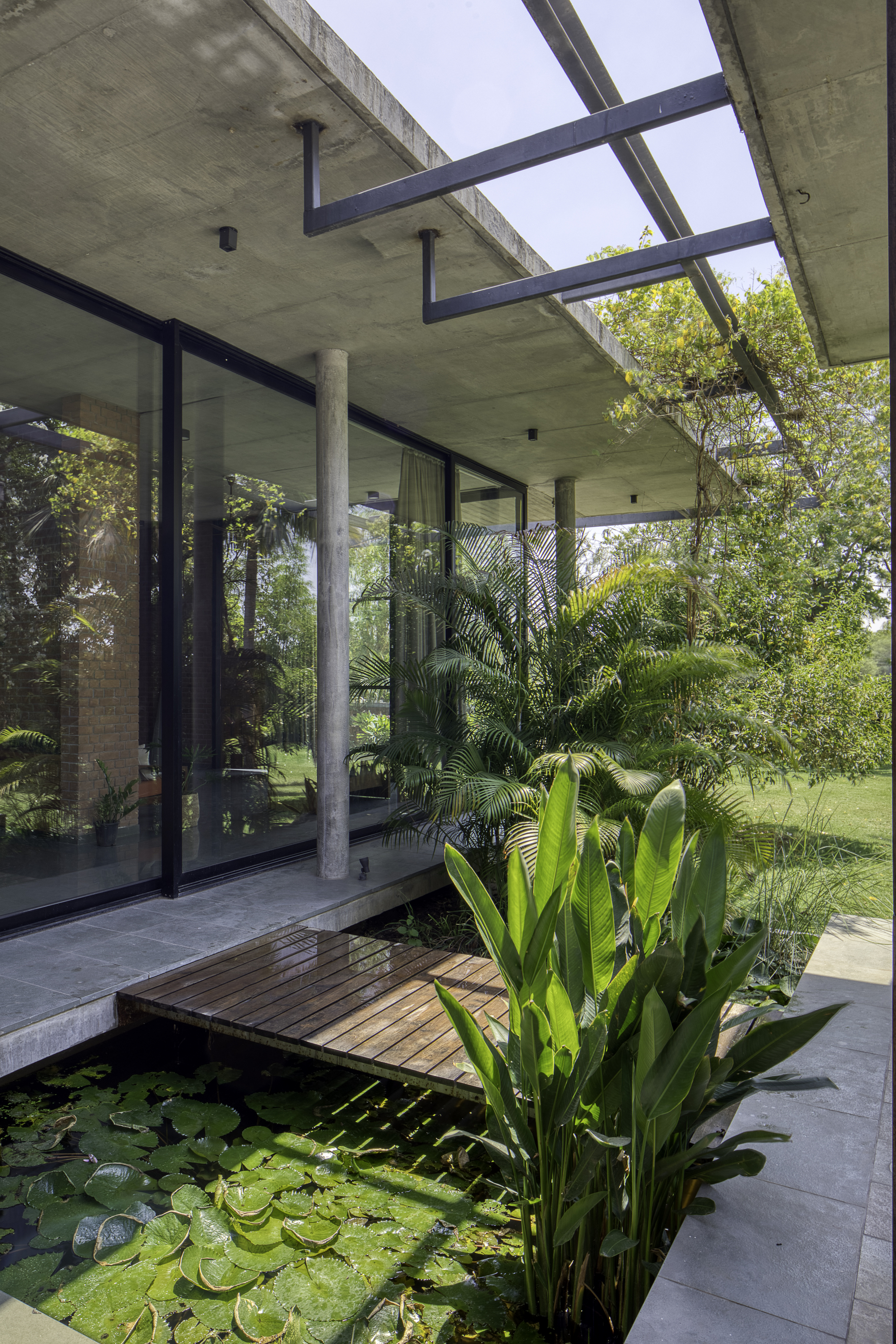 View of timber deck crossing a lily pond beneath concrete cantilevered roof and glazed walls
