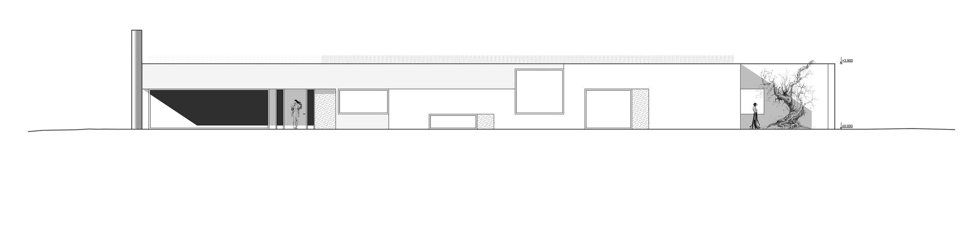 Elevation drawing of a horizontal residence with varied window openings and tree planting at right