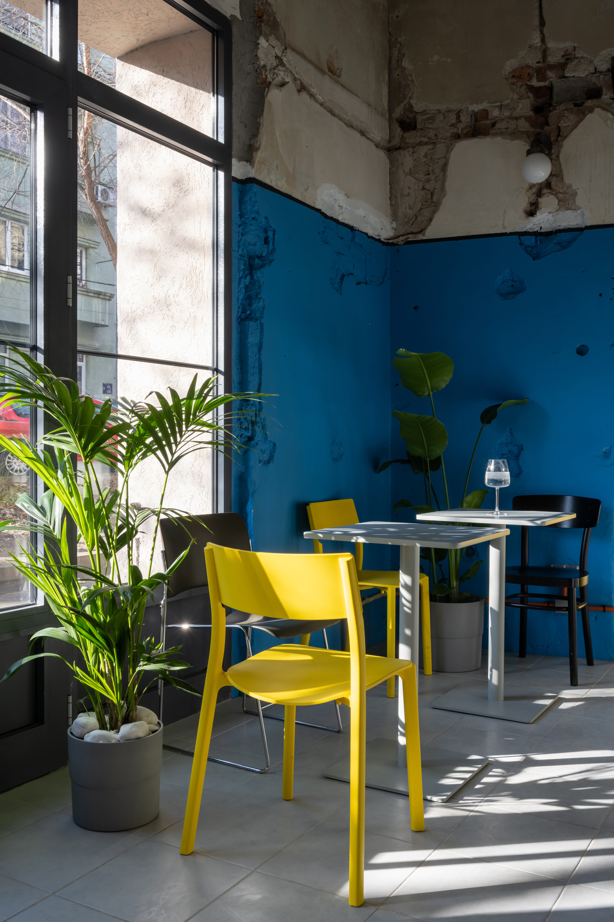 Dining area with yellow chairs and potted palm beside black-framed window casting shadow across tile floor