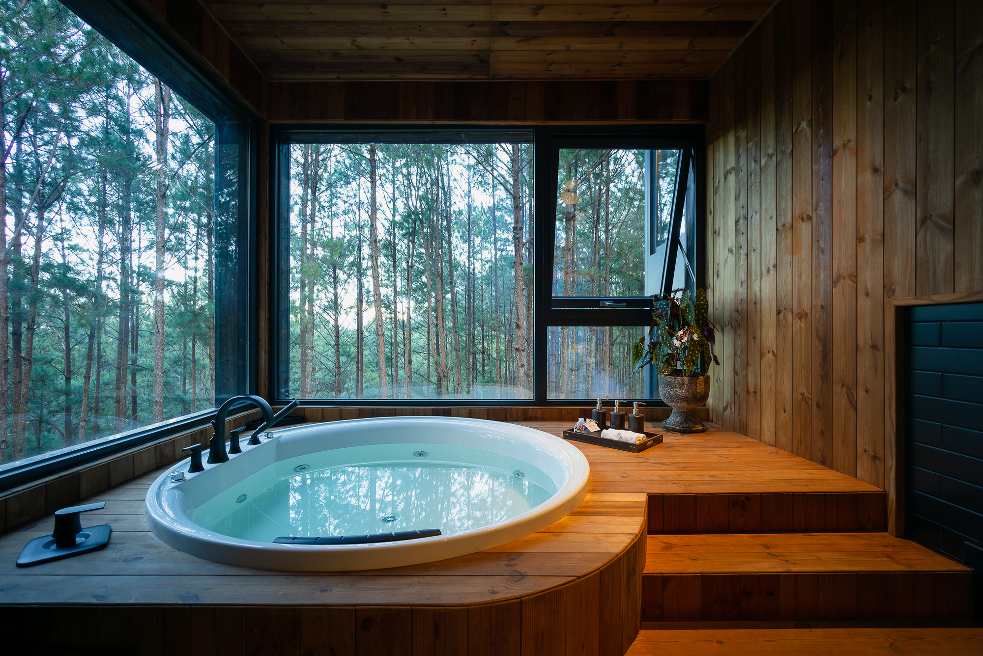 Sunken bathtub with timber surround and stepped platform overlooking misty forest through glazed walls