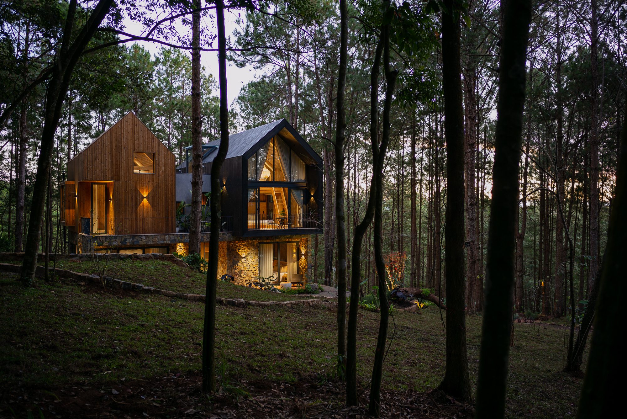 Evening view of the illuminated timber and stone volumes nestled among eucalyptus trees on sloped terrain