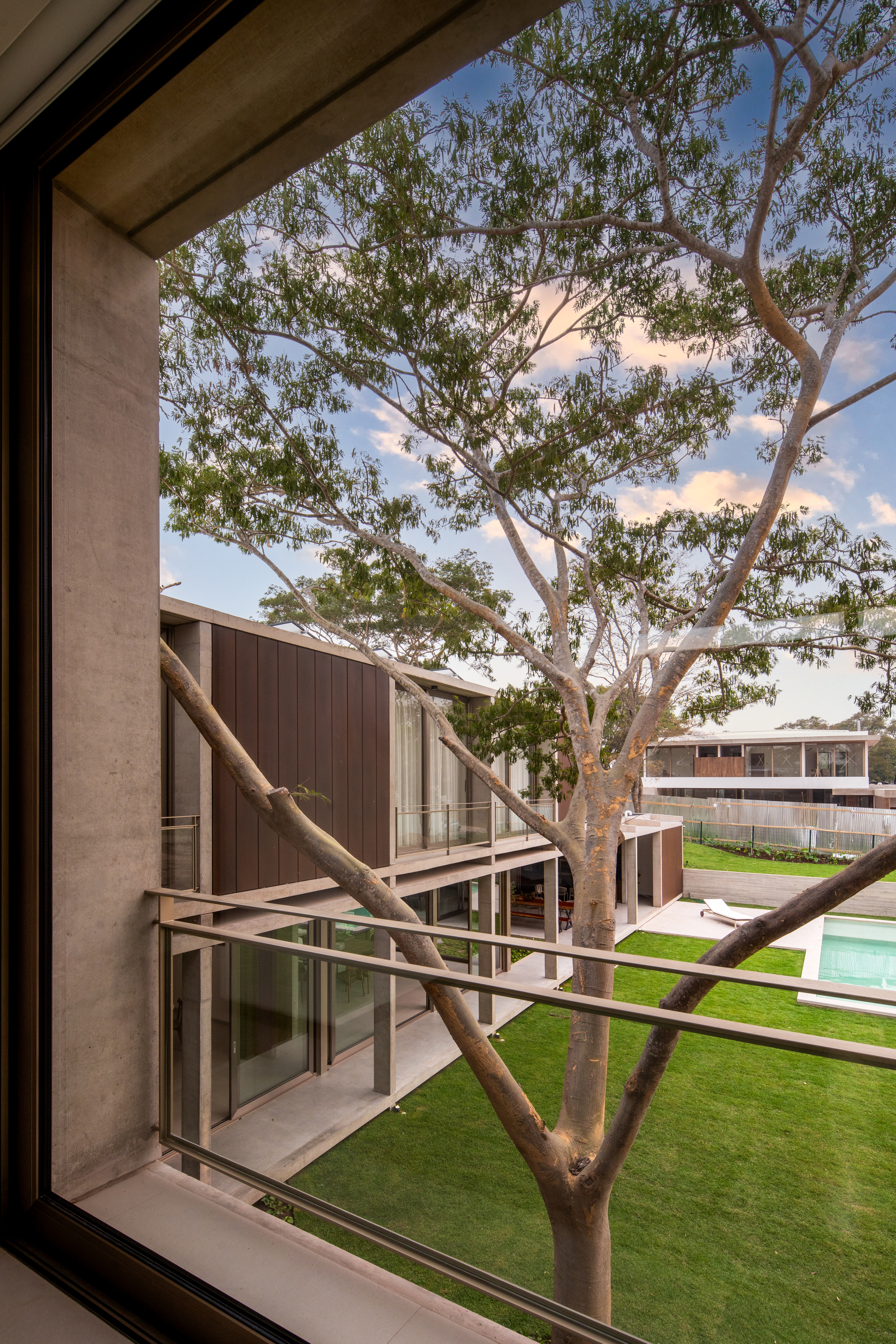 View through upper-level window framing a eucalyptus tree above the lawn and facade below