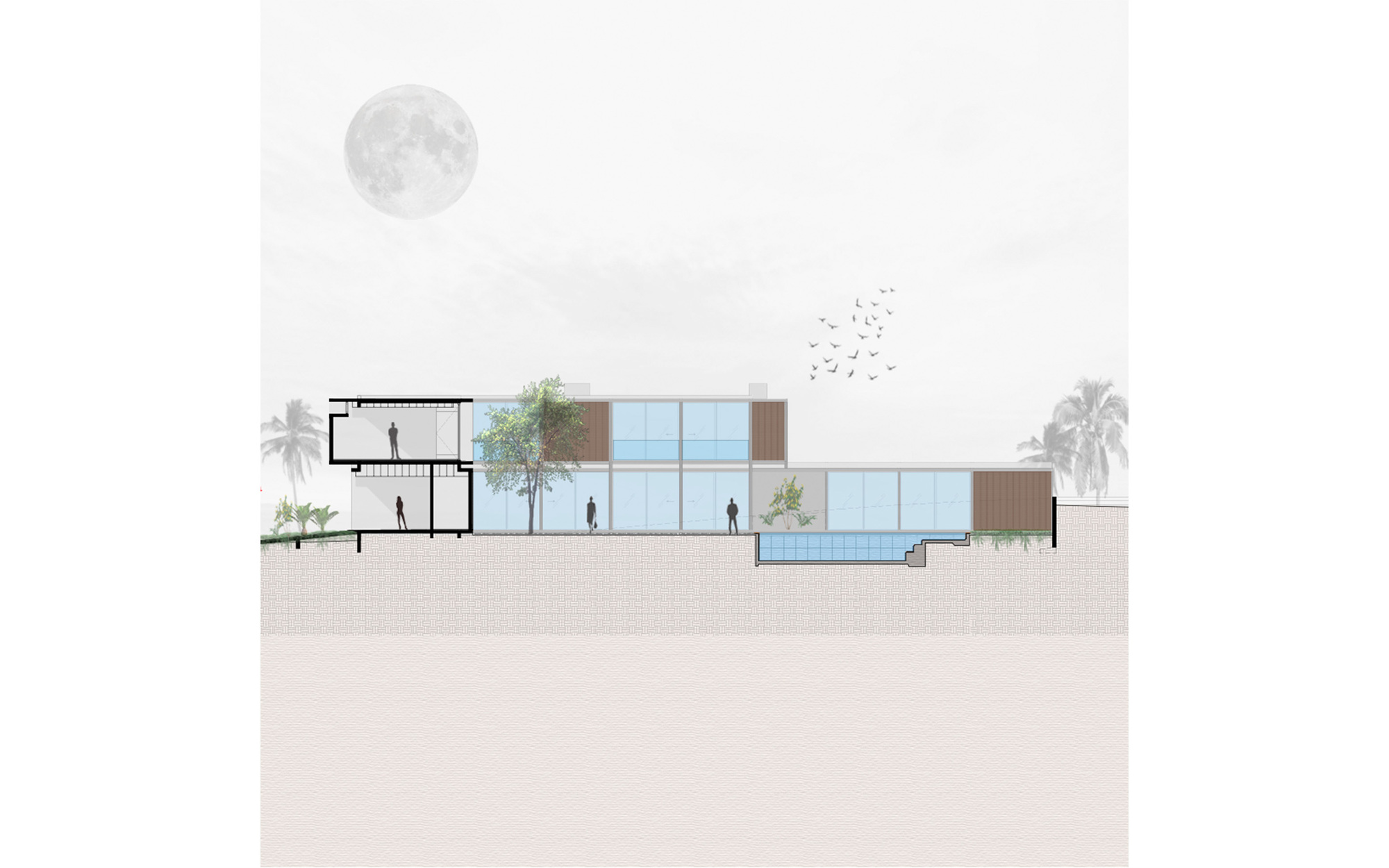 Section drawing showing glazed volumes with rooftop trees, palms, and a full moon overhead