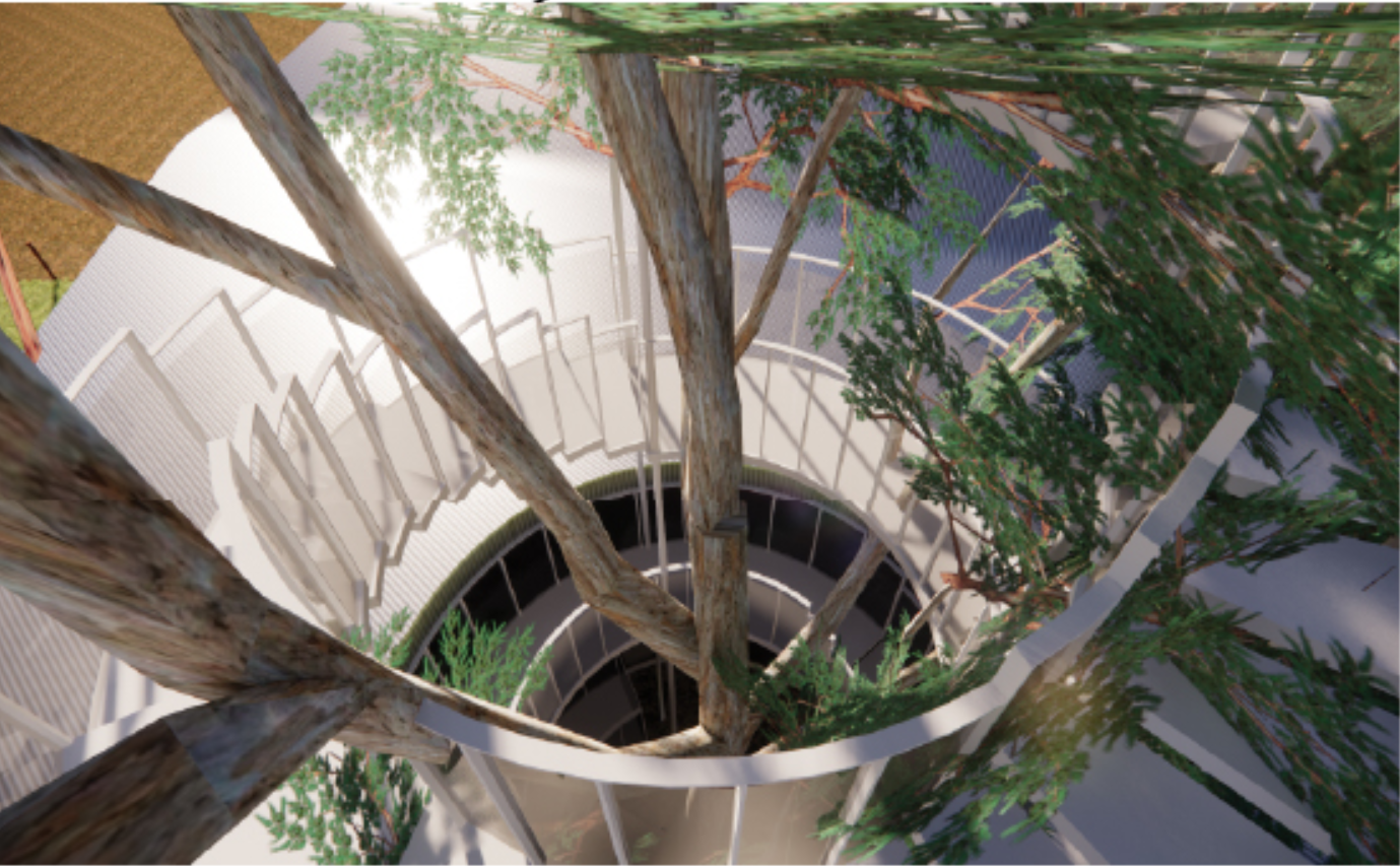The Tree of Life installation creates a vertical connection between architecture and the eucalyptus canopy.