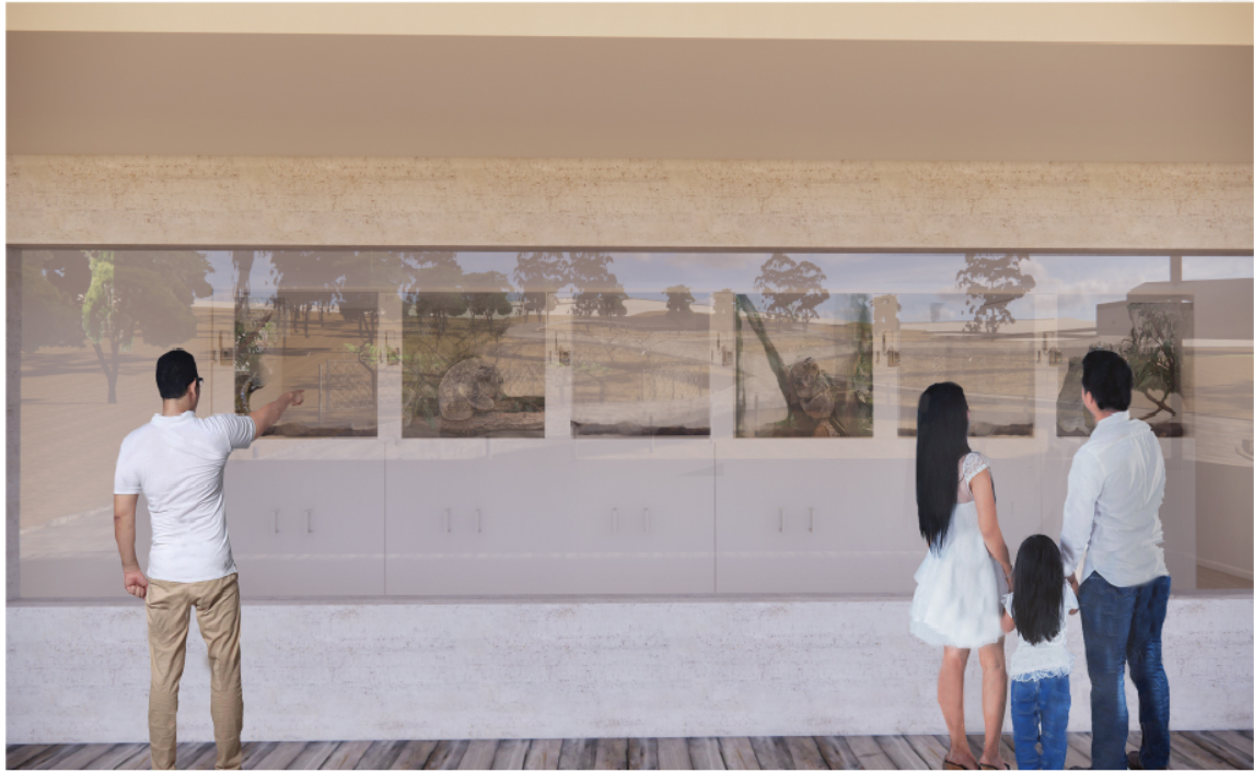 Rehabilitation viewing gallery allowing visitors to observe koala care without disturbing wildlife recovery.