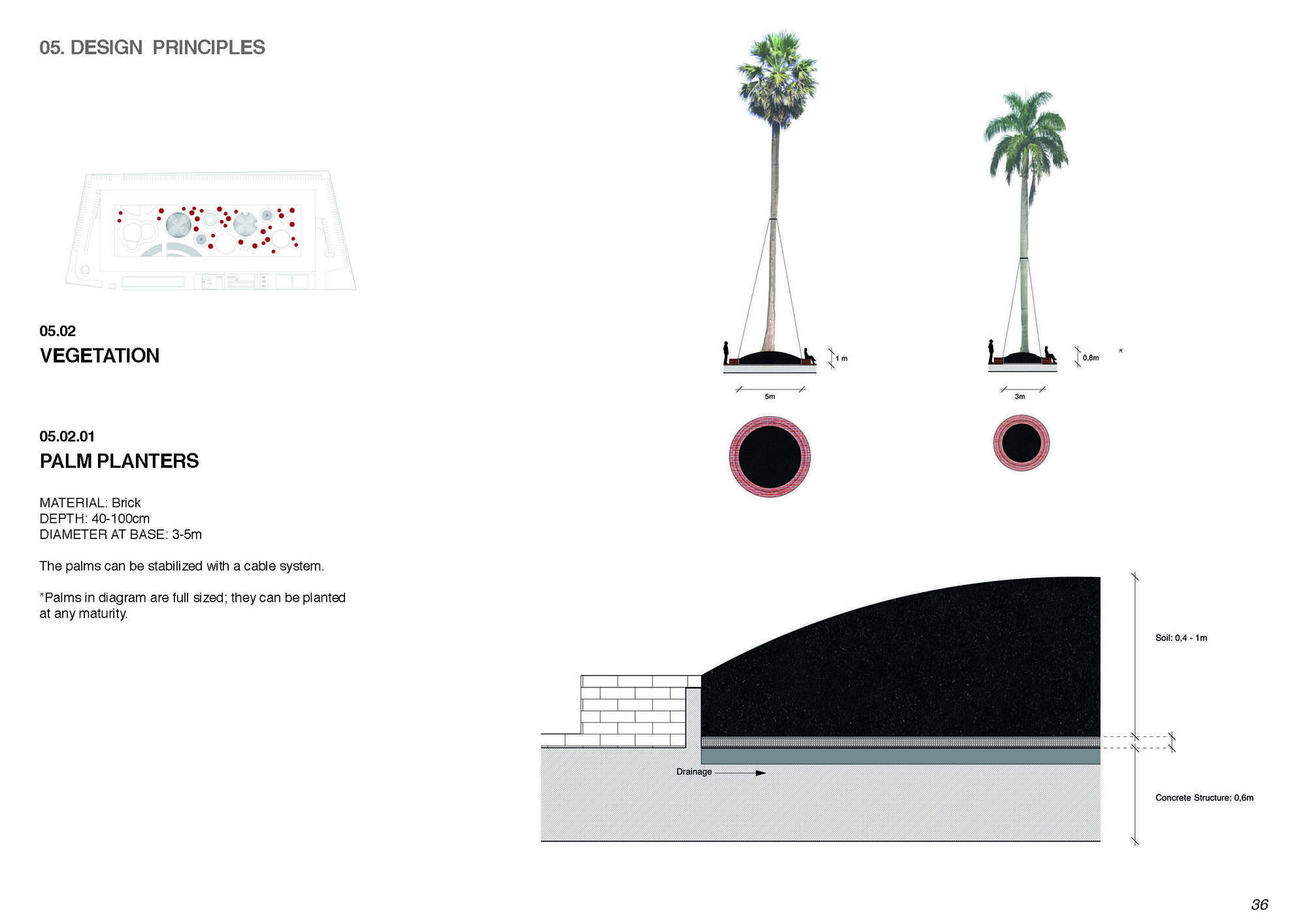 Elevation and plan drawings showing palm planter details with drainage layers and concrete structure