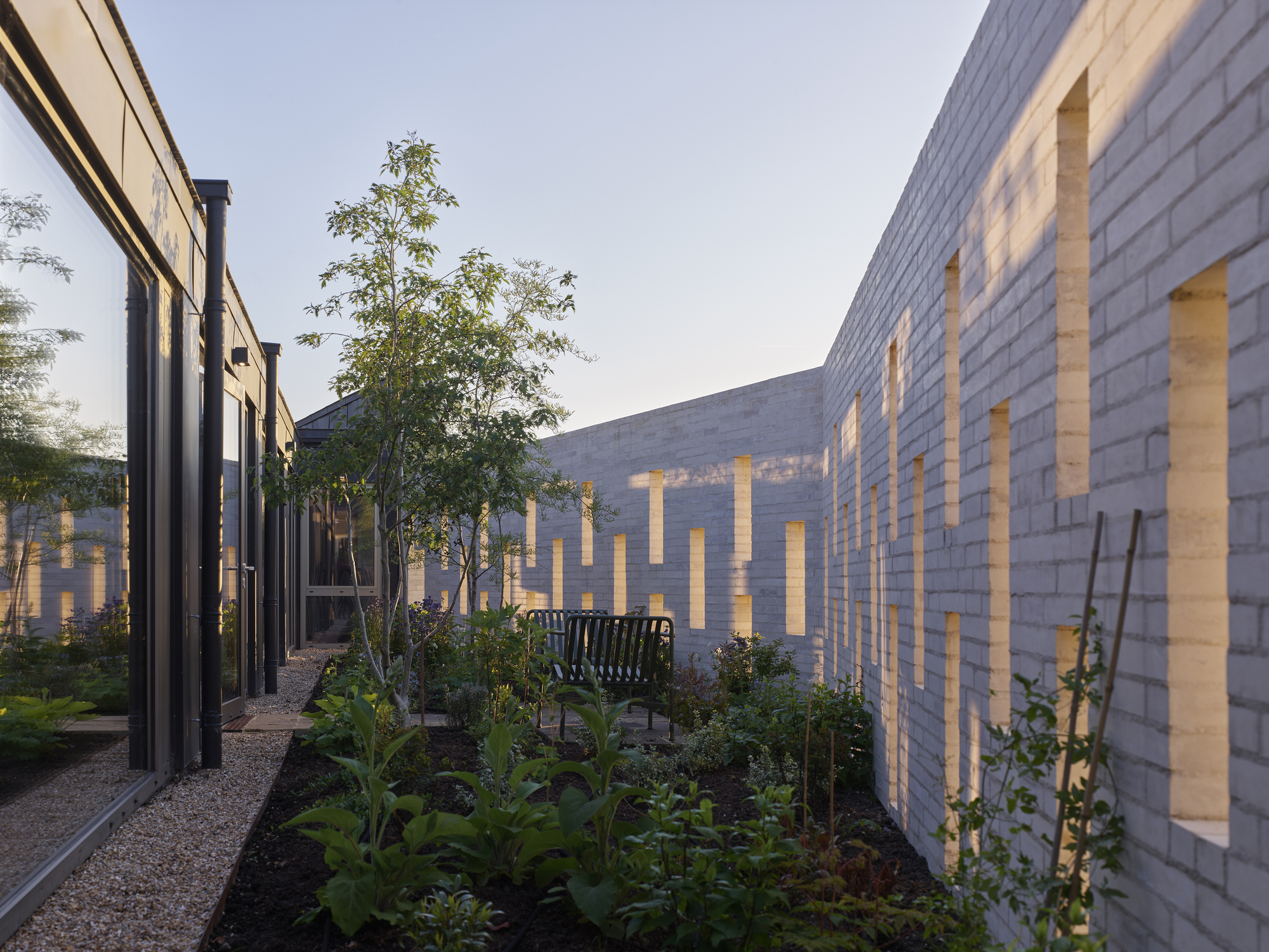 Planted courtyard with illuminated brick wall pattern and young trees at dusk