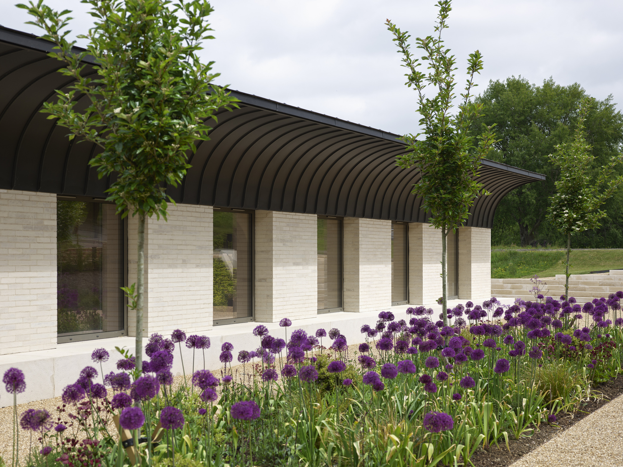 Facade with corrugated canopy over glazed openings and purple allium flower bed in foreground