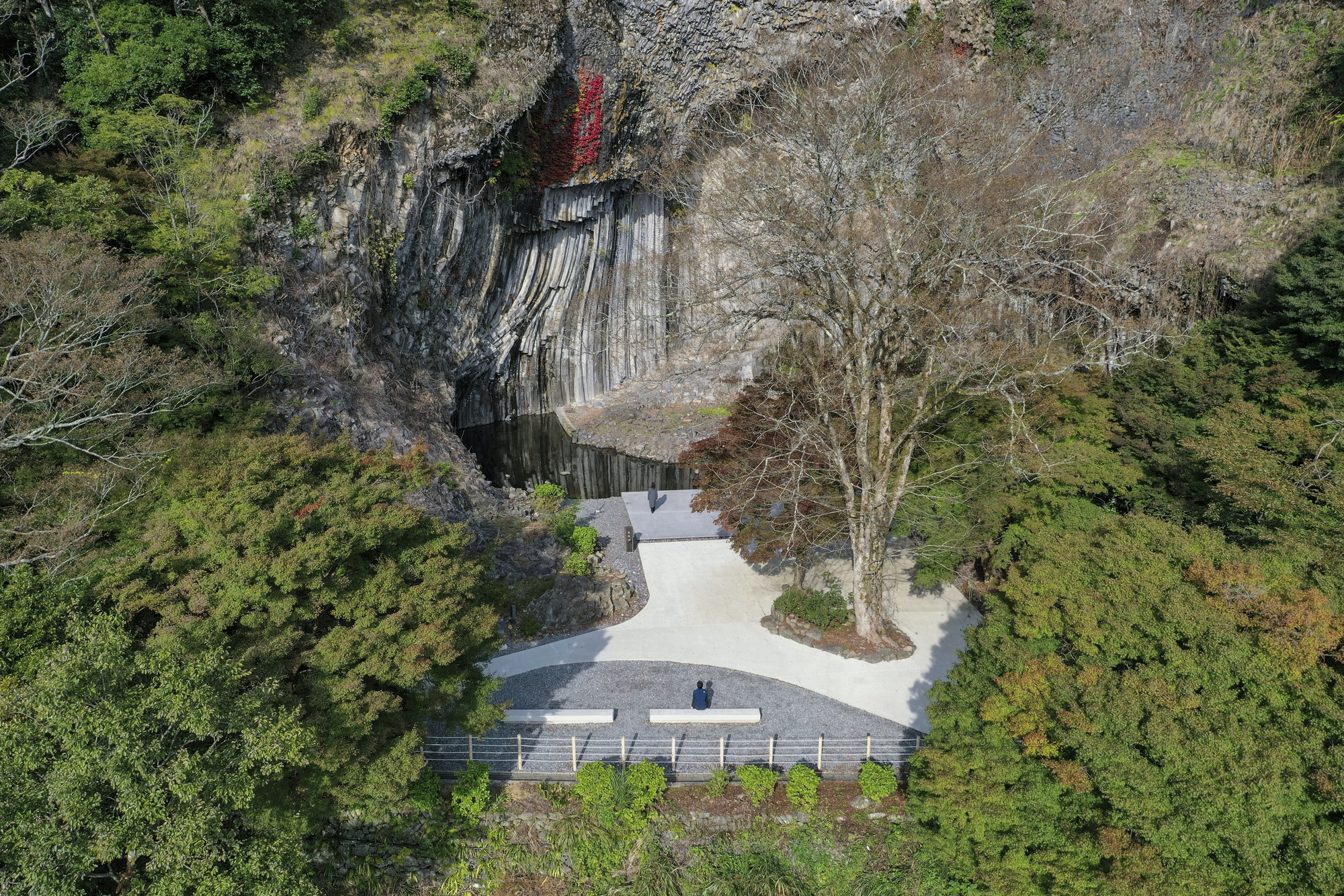 Concrete observation deck wrapping around preserved trees at the base of the striated rock formation