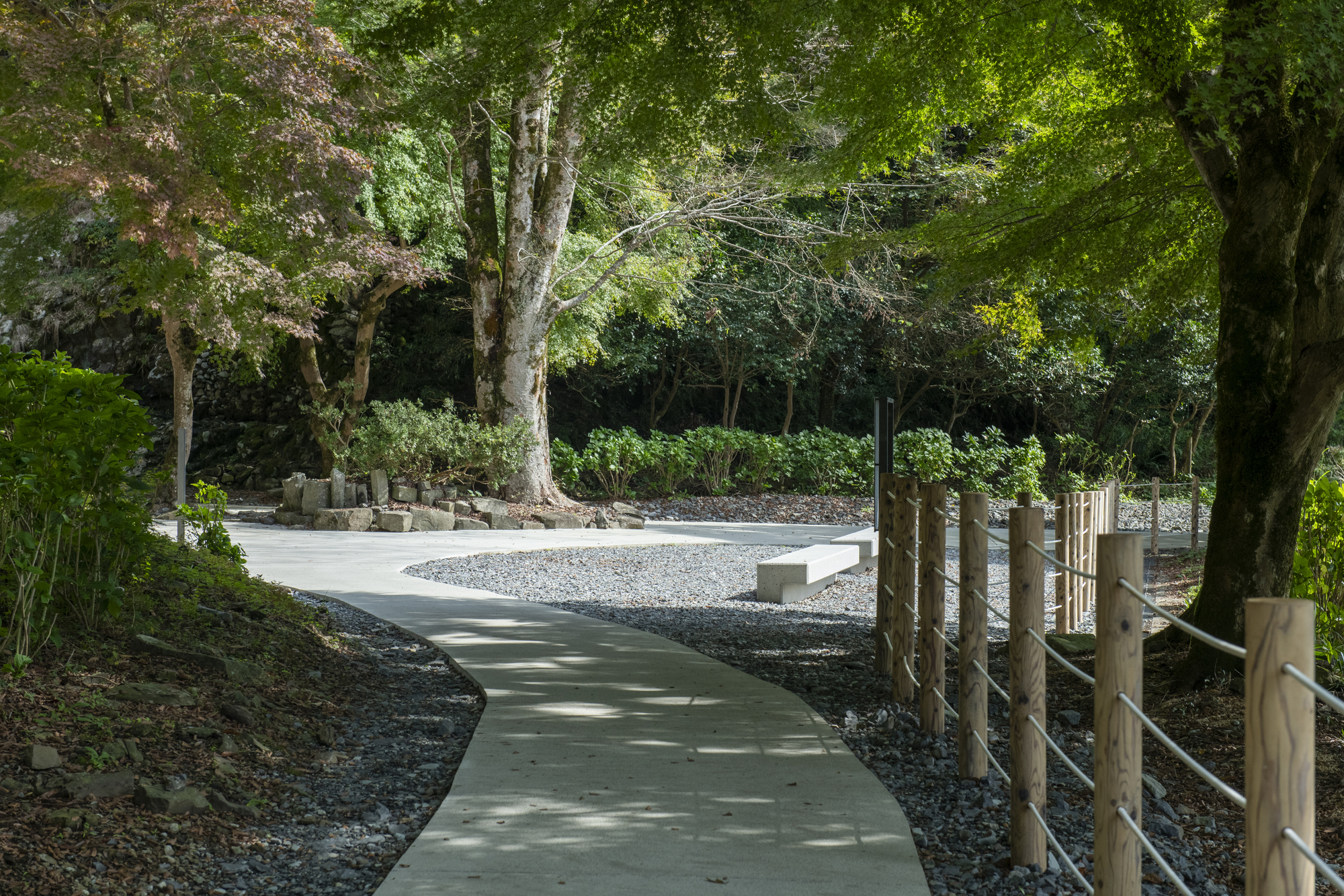 Curving concrete pathway with timber post railings winding through gravel beds and wooded plantings