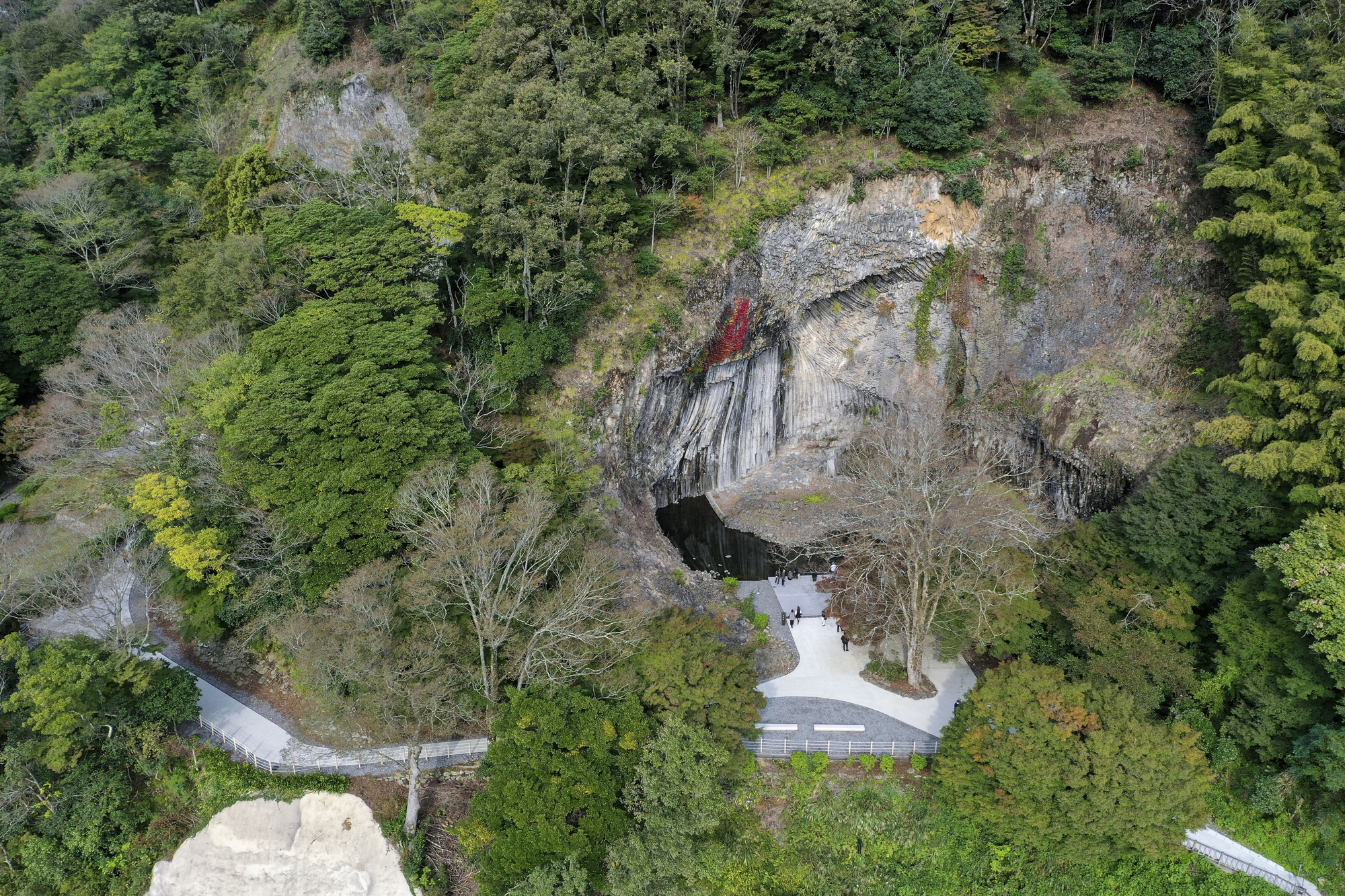 Drone view of the pathway approach to a cave entrance within a forested hillside