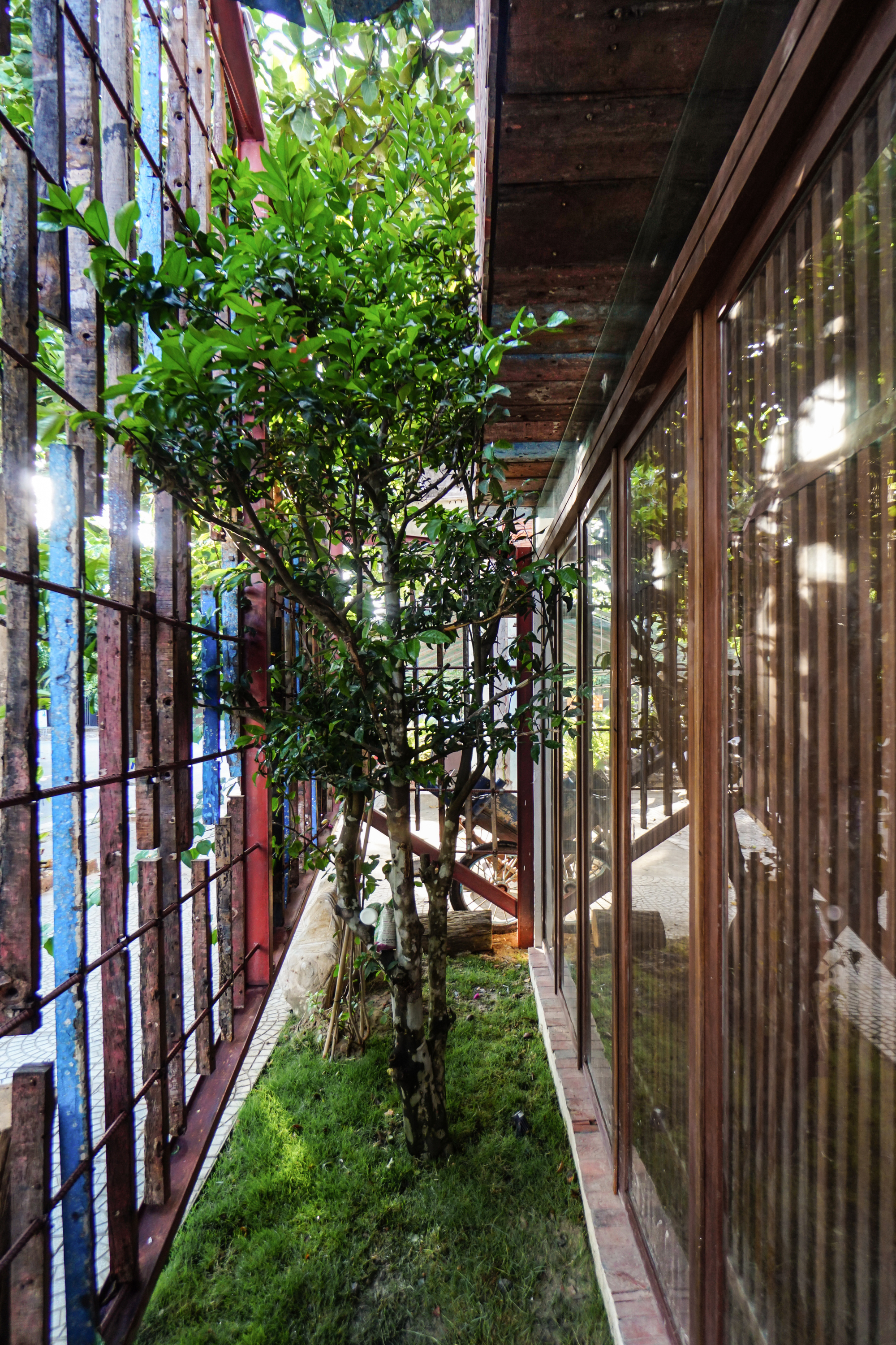 Narrow courtyard with moss ground cover and planted tree between reclaimed wood screens