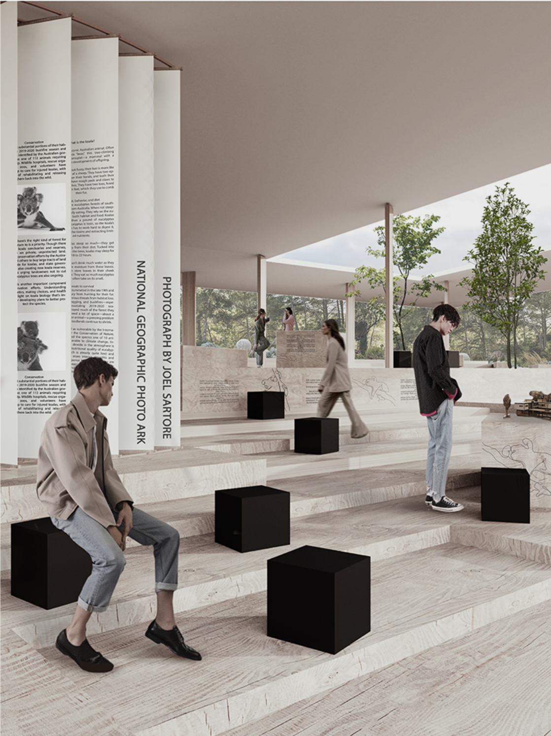 Interactive learning space introducing visitors to koala conservation and wildlife rehabilitation.