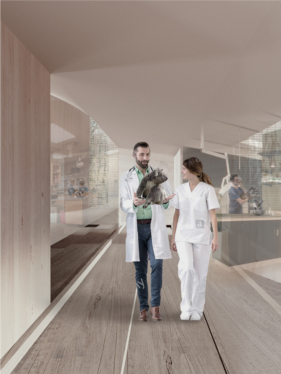 Warm timber interiors create a calm environment for veterinary care and animal recovery.