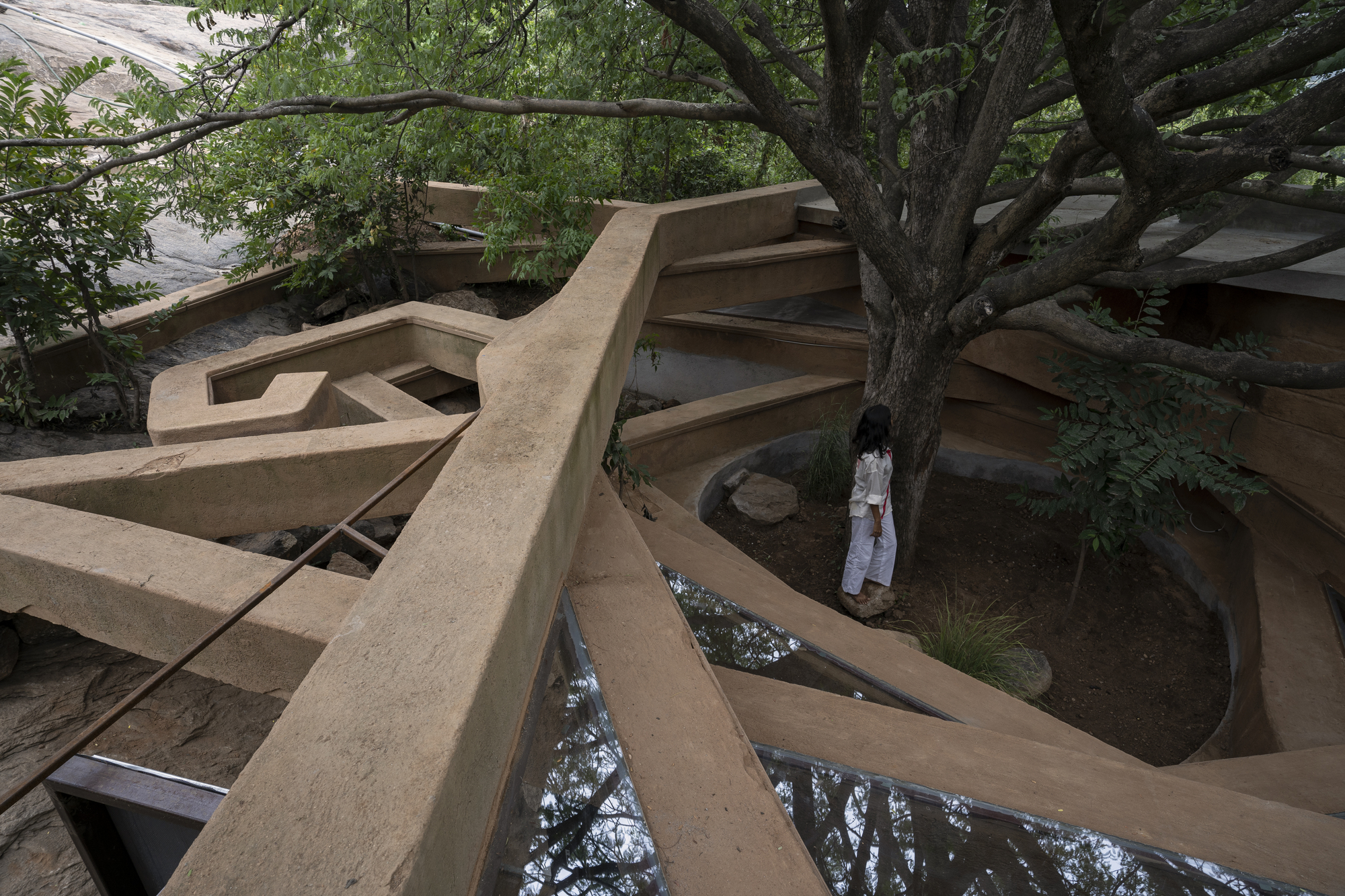 Aerial view of the cantilevered rammed earth roof wrapping around an existing tree on the rock outcrop