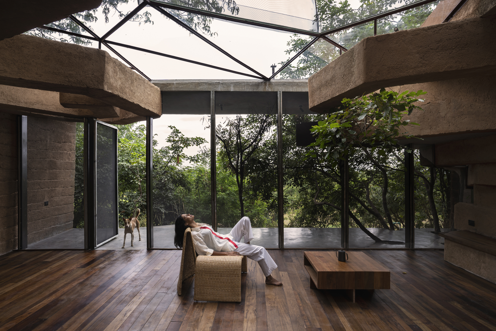 Interior living space with timber flooring and floor-to-ceiling glazing overlooking forest canopy