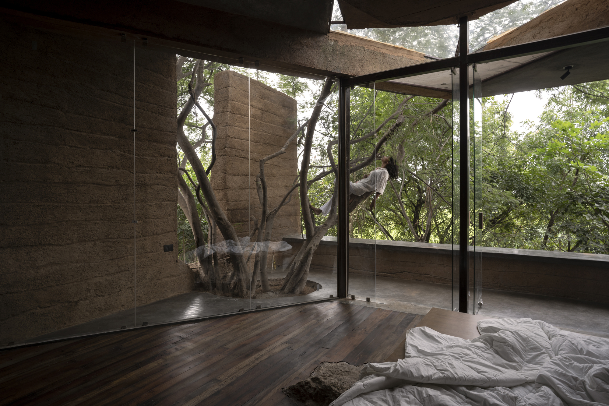 Bedroom with preserved tree trunk penetrating through timber floor and glass enclosure