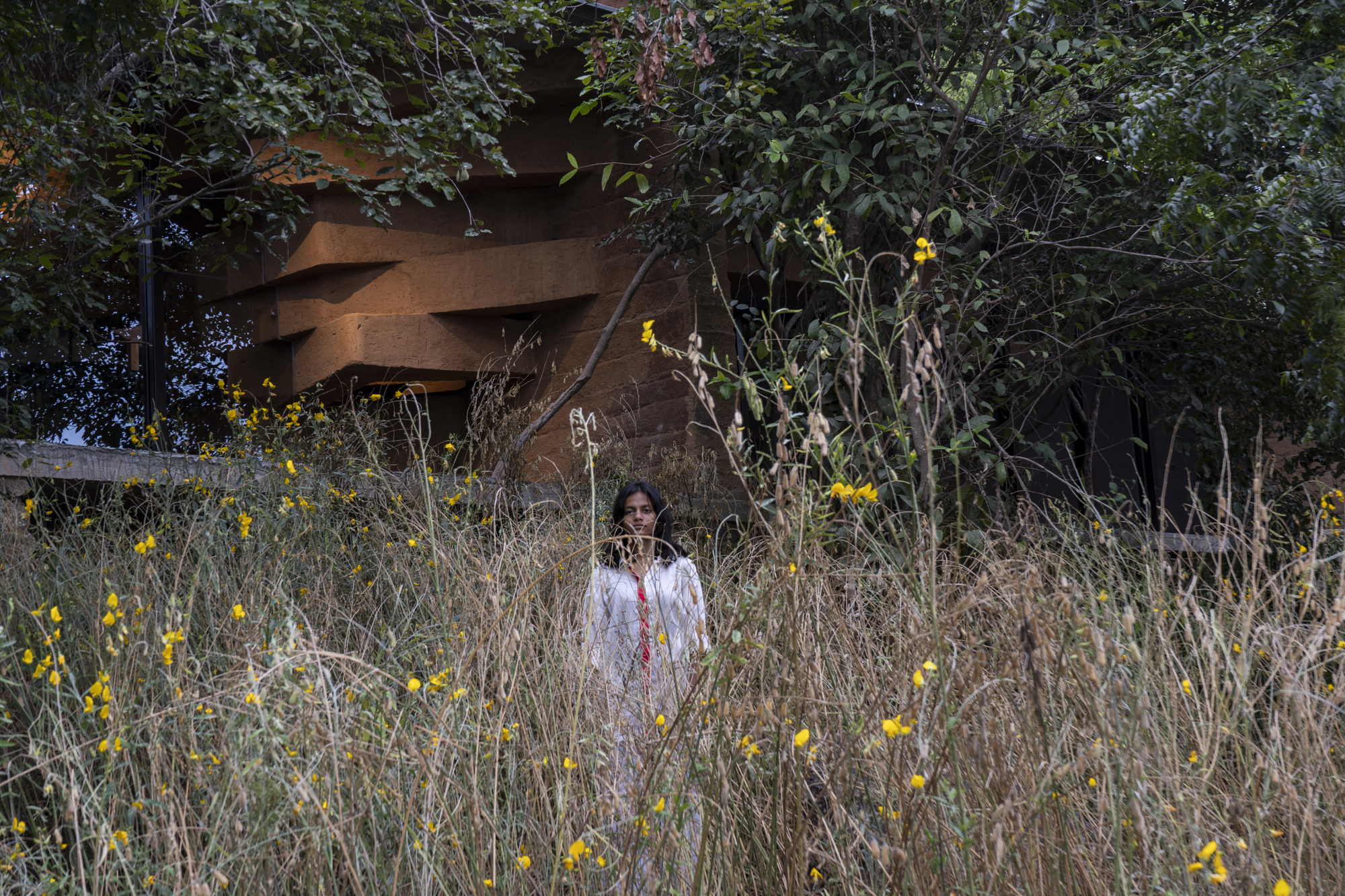 Weathered steel roof form emerging from dense vegetation with a figure standing among tall grasses