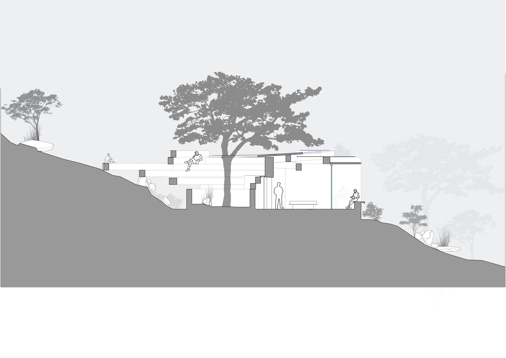 Section drawing depicting volumes embedded in sloping terrain beneath mature trees