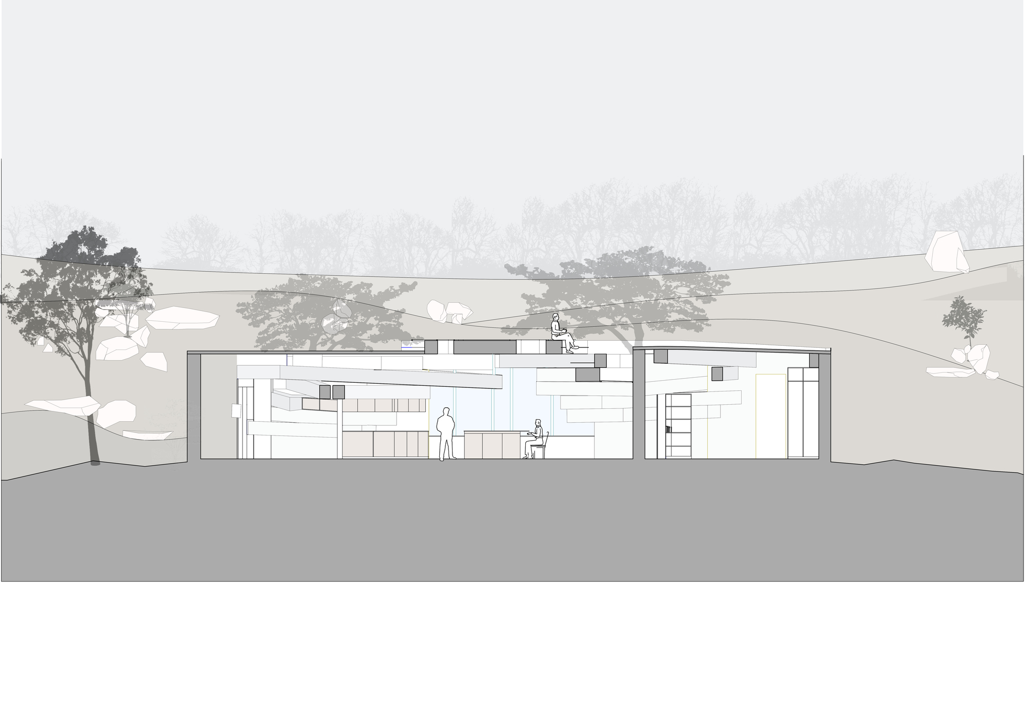 Section drawing showing interior spaces with bookshelves and figures set into hillside topography