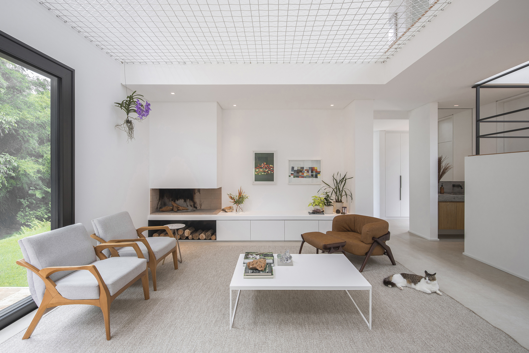 Living room with fireplace, wire mesh ceiling panel, and cat resting on carpet