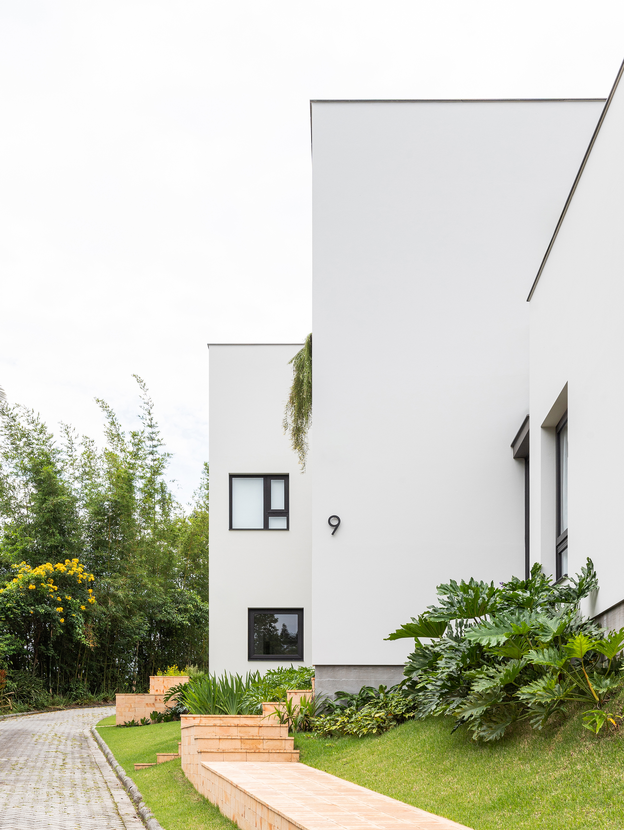 White stucco facade with angular geometry and hanging plants above a terraced lawn with timber steps