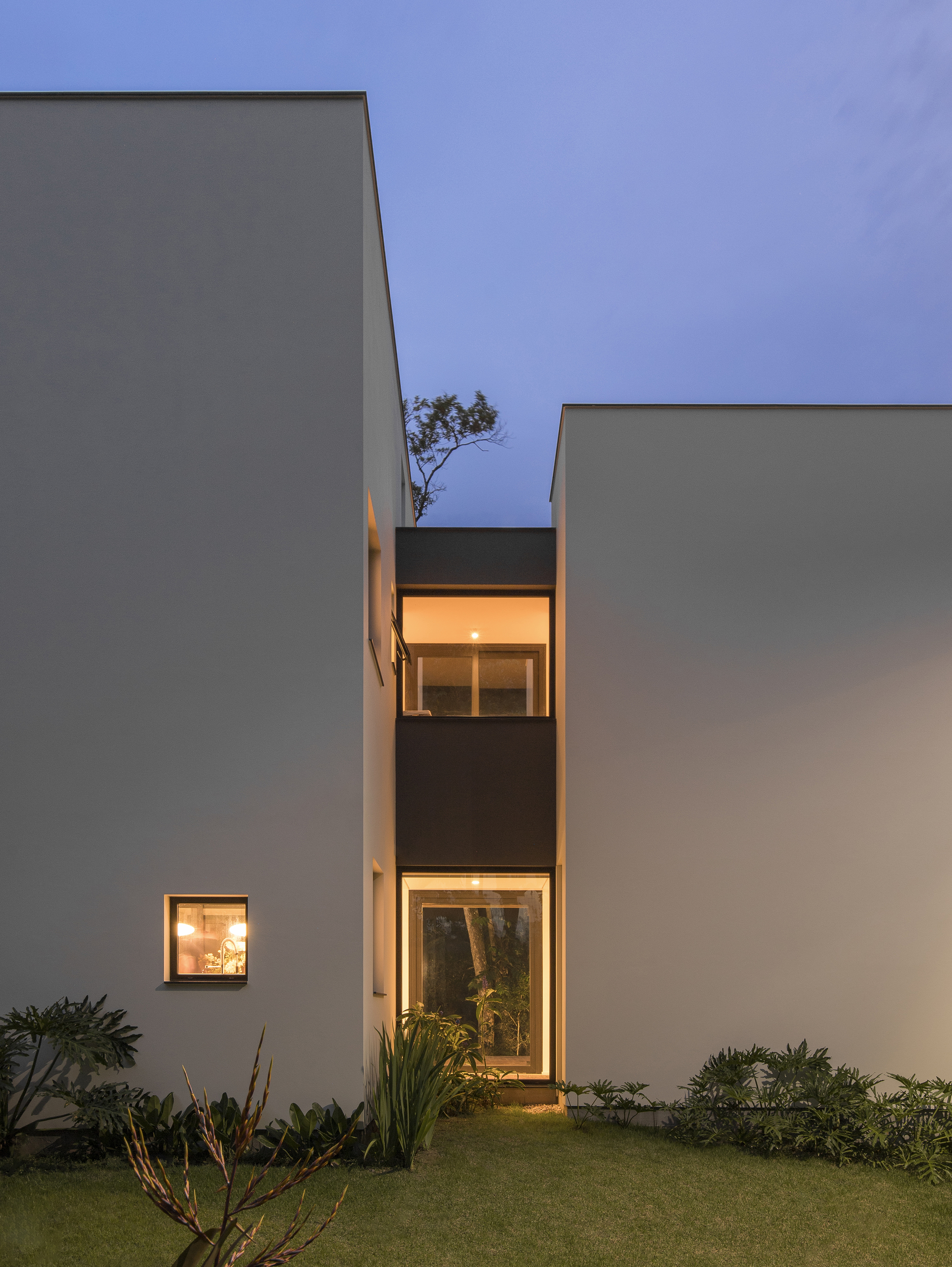 Illuminated windows recessed into white volumes framing a small tree between planted beds at twilight