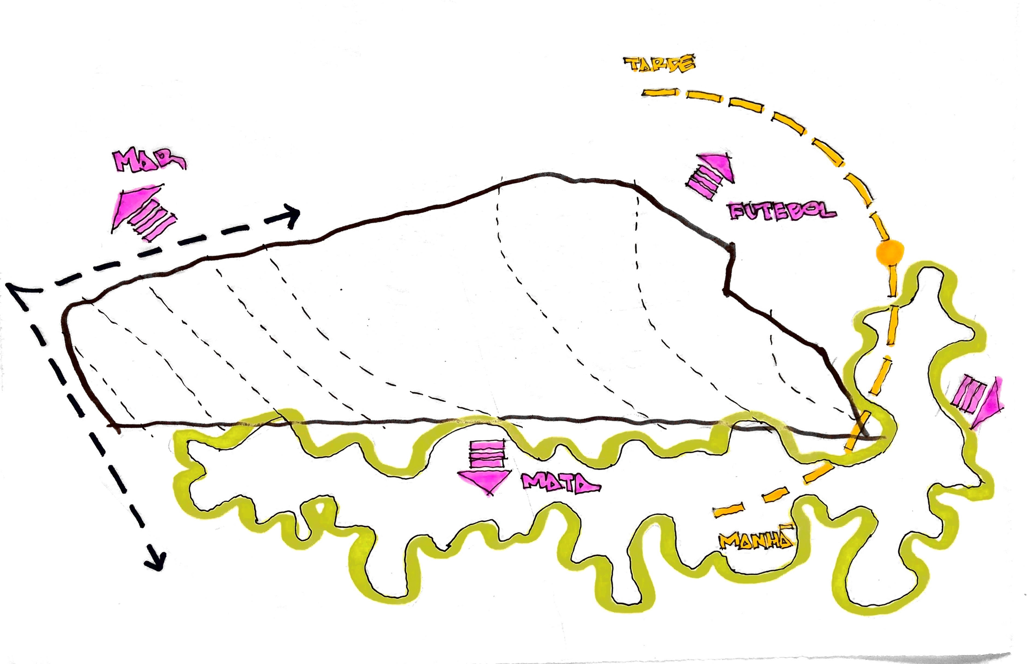 Diagram sketch illustrating circulation paths and site contours with colored annotations