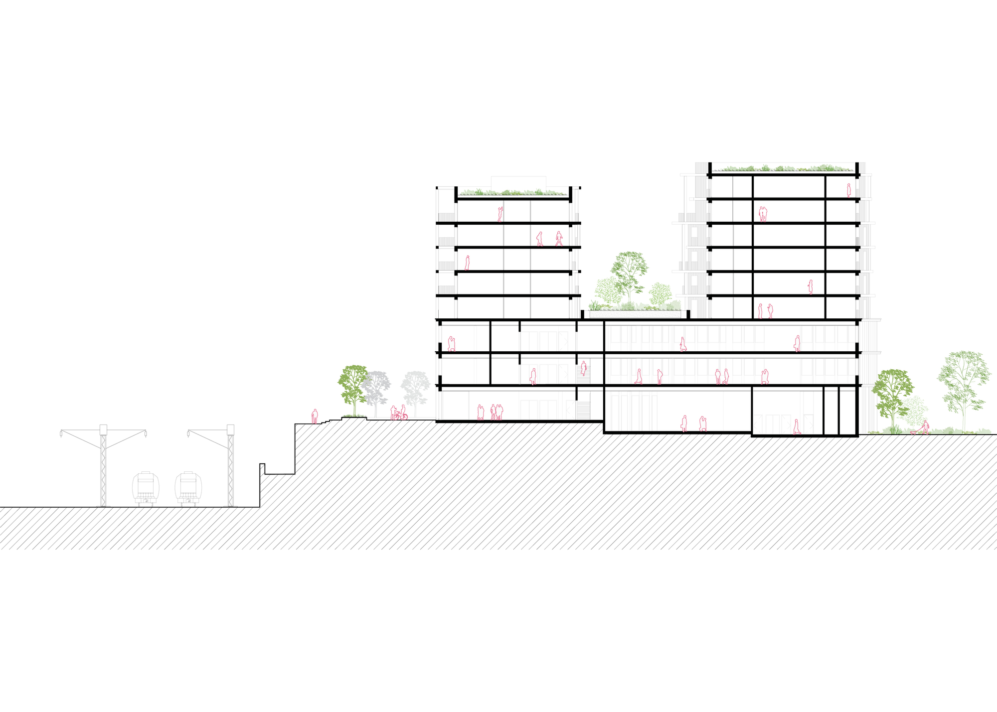 Section drawing revealing stepped volumes descending a sloped site with planted terraces and trees