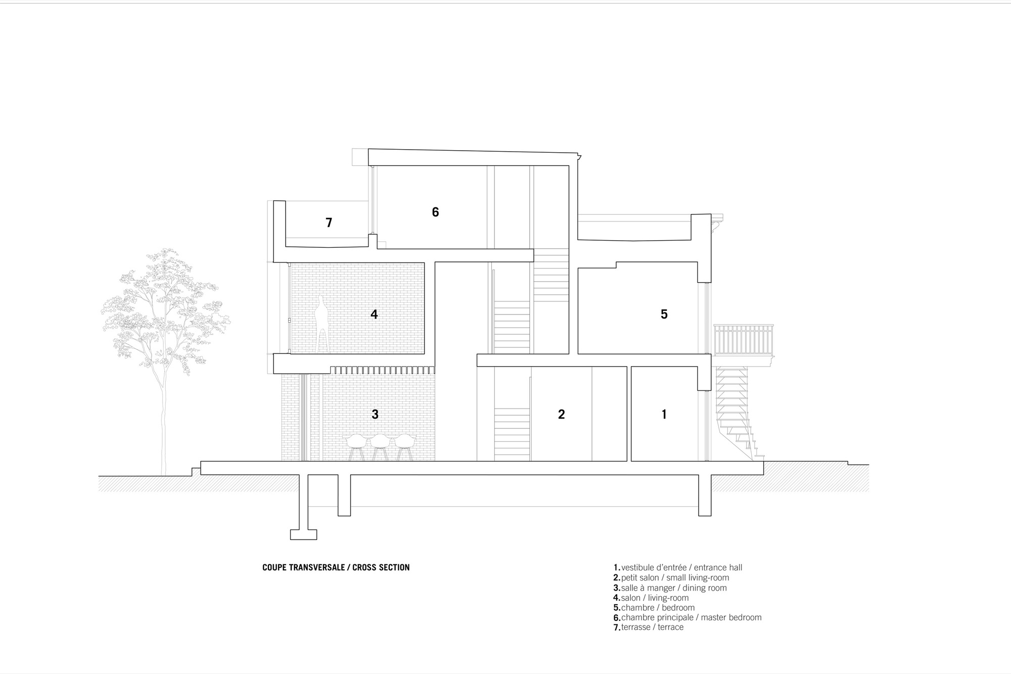 Cross section drawing showing multi-level interior spaces with stairs and a tree to the left