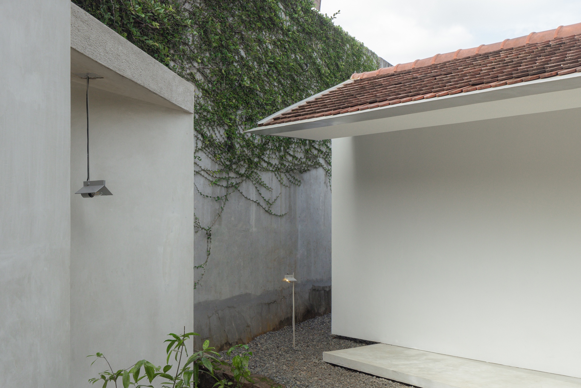 Small gravel courtyard with climbing vines on concrete walls and a pendant lamp suspended overhead