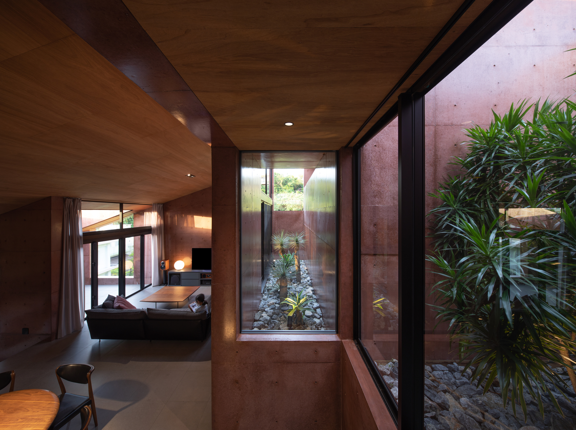 Interior view of timber-lined ceiling and glazed courtyard with planted bed visible beyond the living room