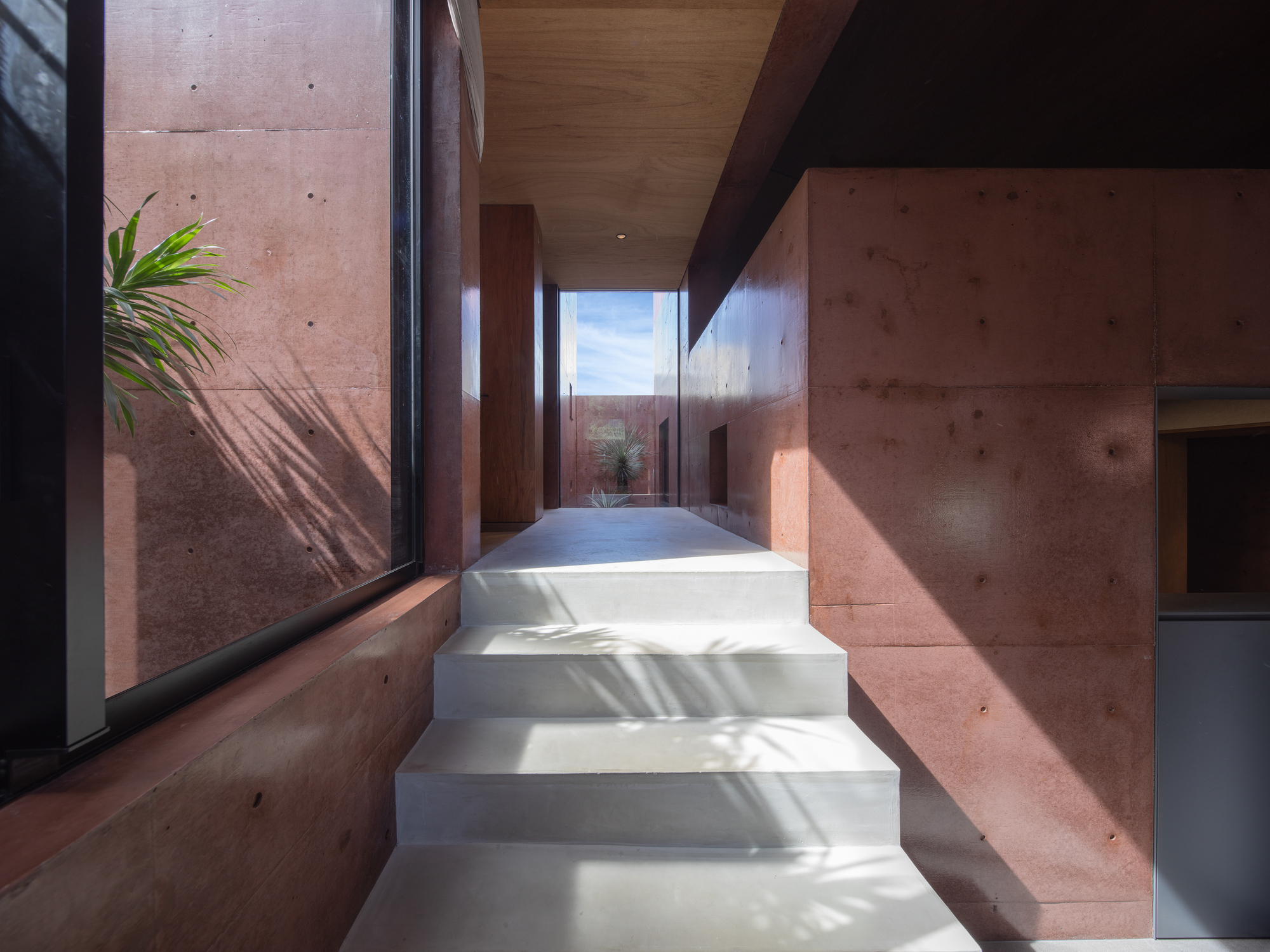 Concrete stair passage between rammed earth walls with palm shadows cast by morning sunlight