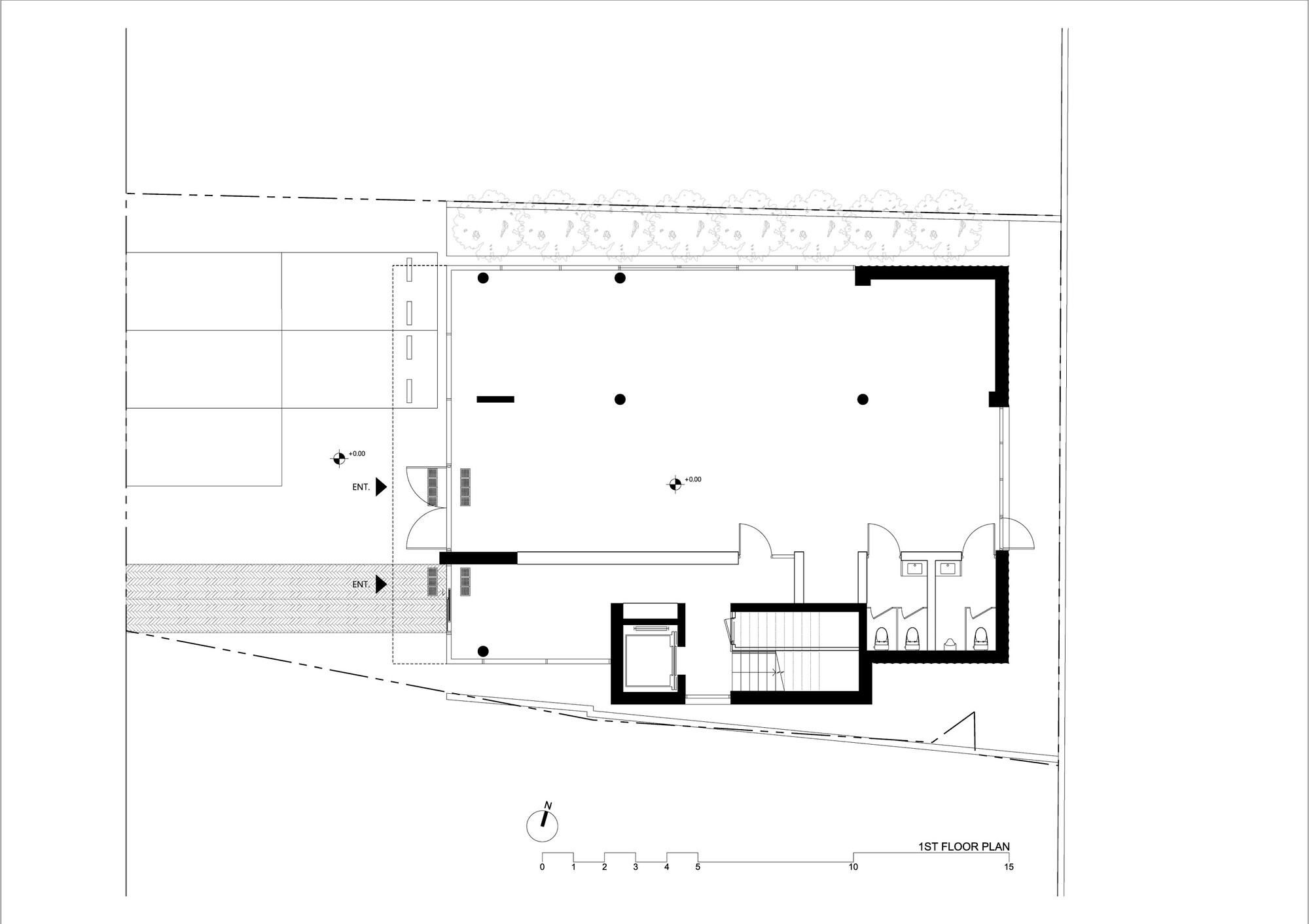 First floor plan showing an open living area with angled site boundary and service core