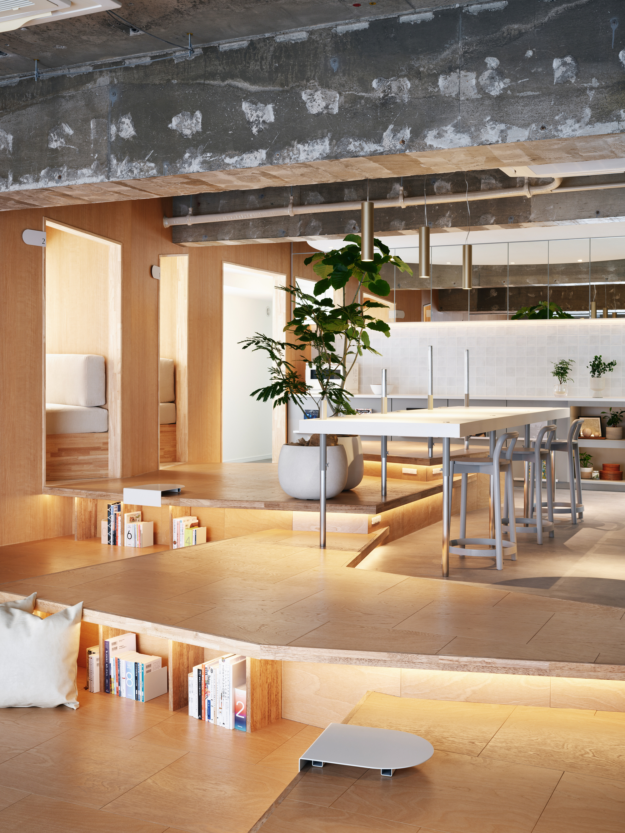 Split-level interior with timber-lined sleeping alcoves and exposed concrete ceiling beams in afternoon light