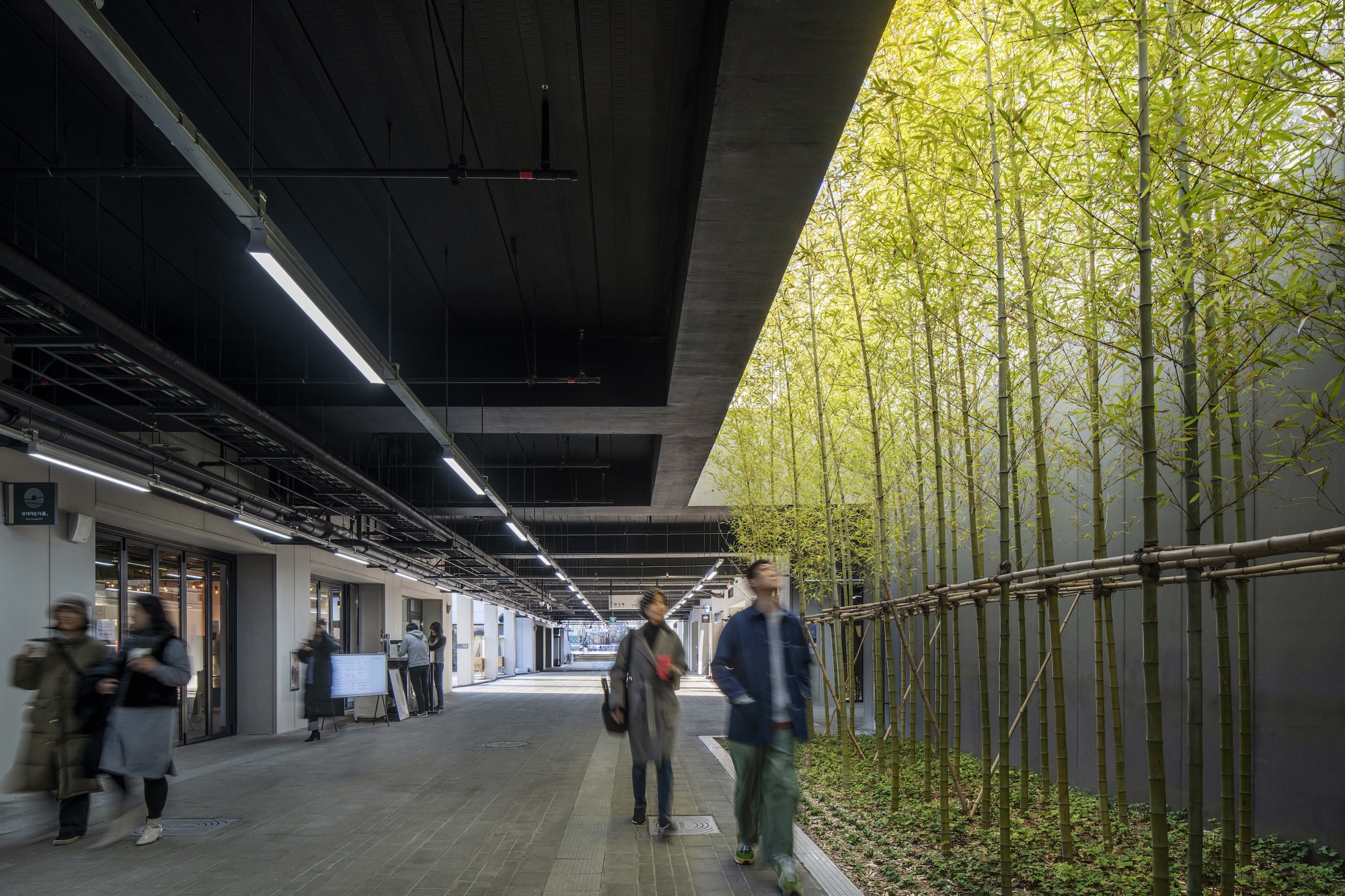 Covered platform corridor with bamboo planting along one edge under exposed concrete beams