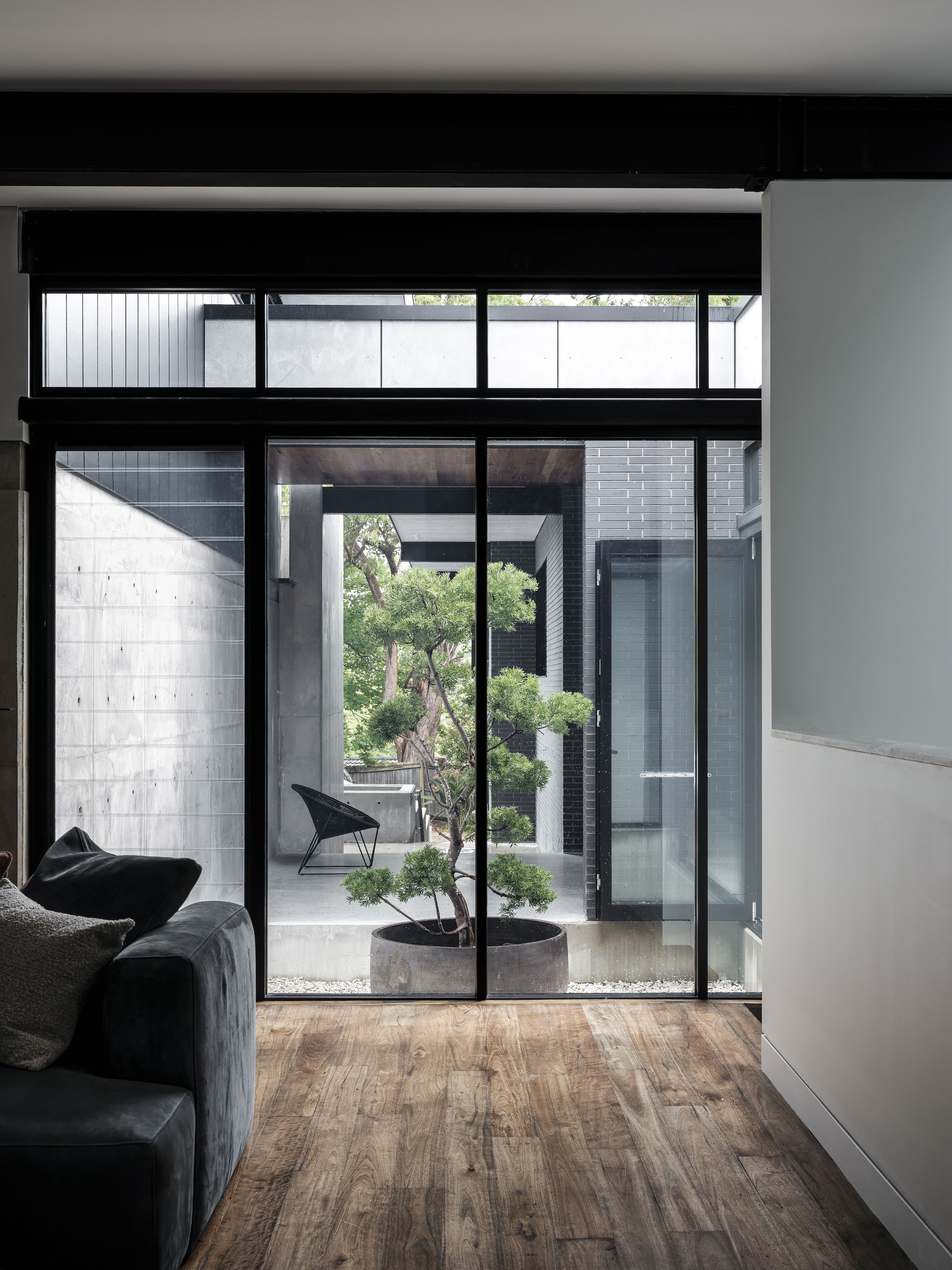 Floor-to-ceiling glazing framing an internal courtyard with a single potted tree and concrete planter