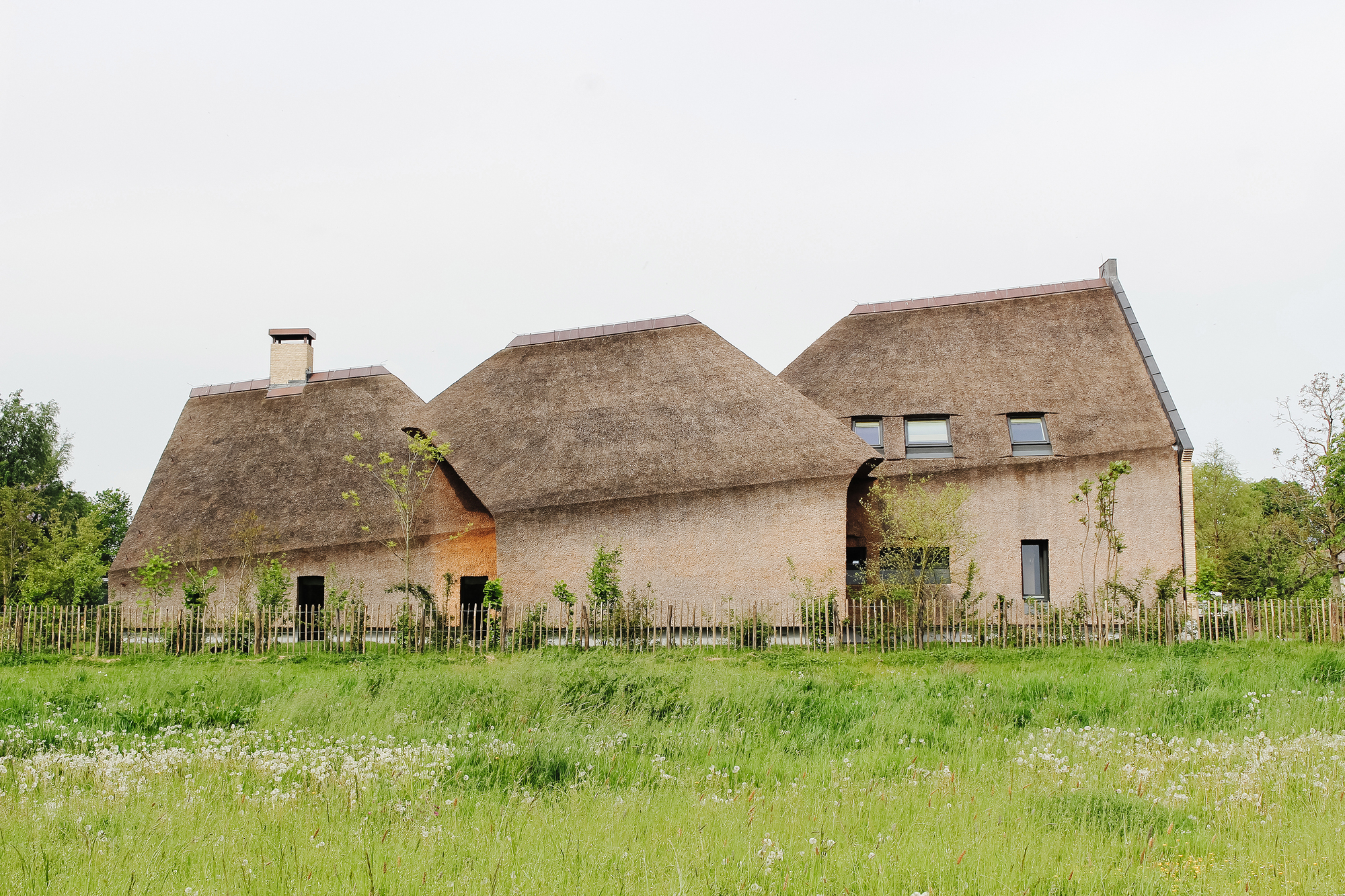 Thatched roof volumes seen across a wildflower meadow with wooden fence and young saplings